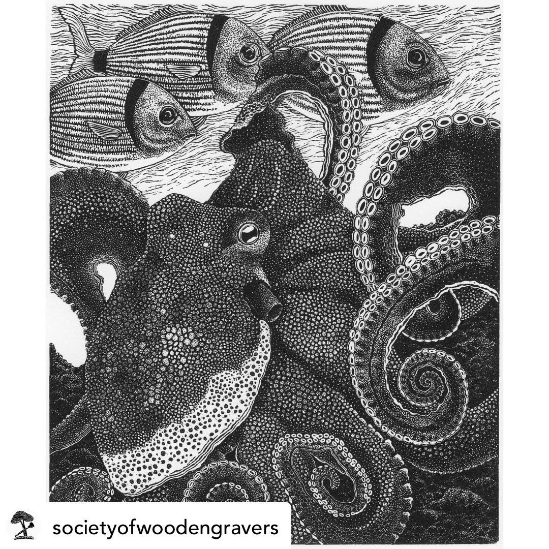 Posted @withregram &bull; @societyofwoodengravers Julia Timmins - Spirit of the Sea

I am fascinated by octopi, the way they move and change shape and colour, the fact that they are highly intelligent and can be playful and inquisitive.
With this eng