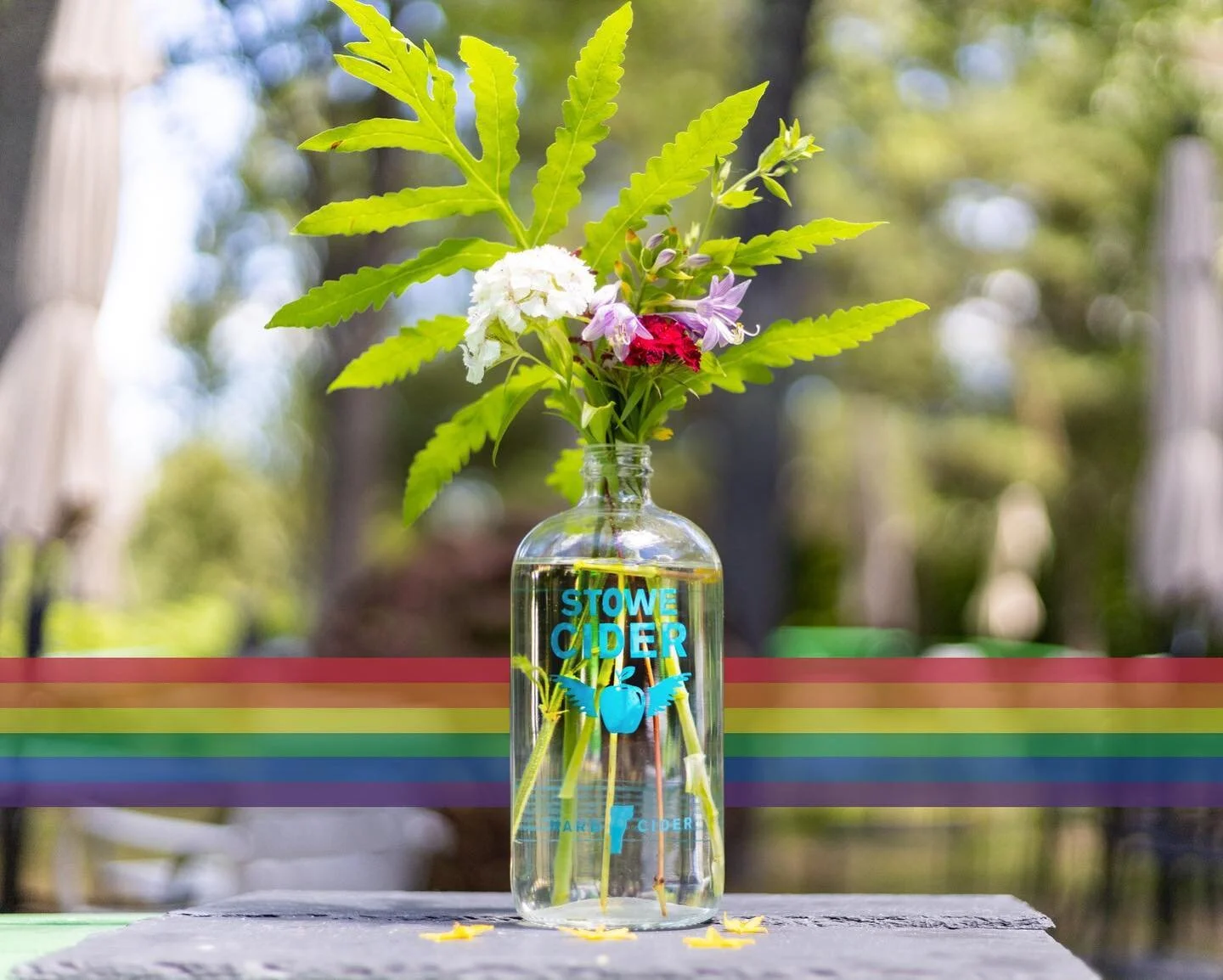 Updated: Unfortunately we&rsquo;ve had to postpone our 3rd Annual Tea Dance! We will still close out pride month with an apr&eacute;s set from @vs.rangus and a percentage of taproom sales donated to @pridecentervt on 9/30 from 3-7pm. 

Here at Stowe 