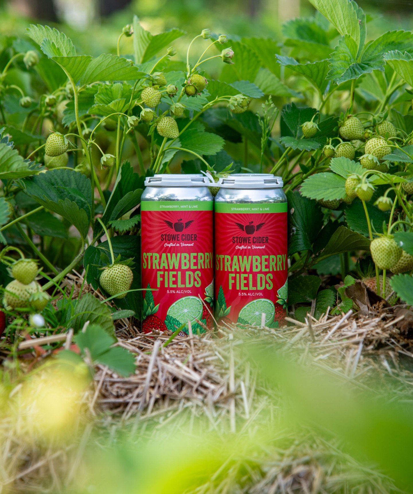 Strawberry Fields Forever 🔒🍓

Back and better than ever! It&rsquo;s officially Strawberry Fields season here at Stowe Cider. This summer delicacy is 5.5% and infused with strawberries, mint, and lime. Perfect for river hangs, campfire chatter, and 