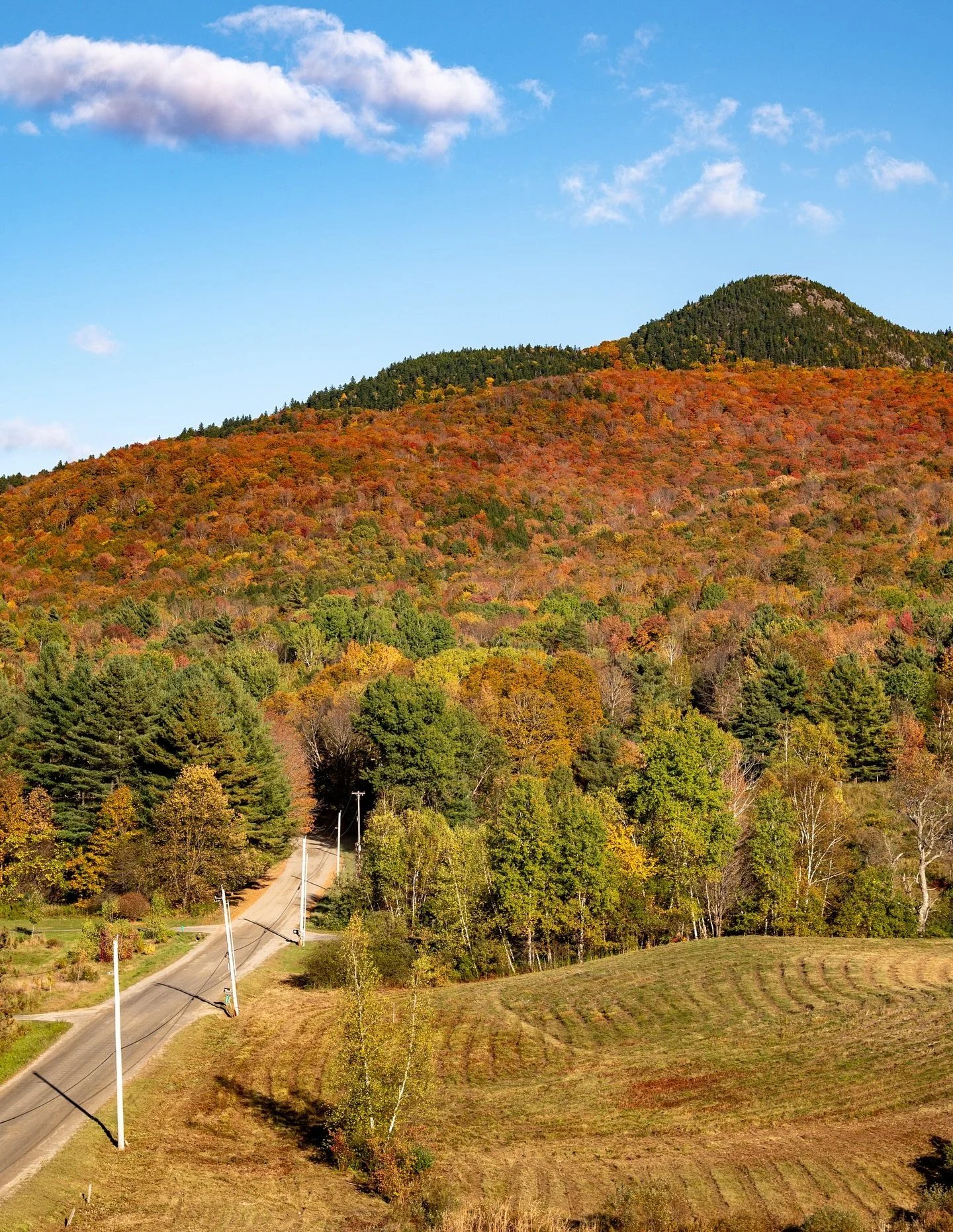 Soaking up these colors while we still can 🍁🍁

Don&rsquo;t forget to stop in to @shakedown_stowe on your way through town! 

Open Wed-Sun | 12-9PM