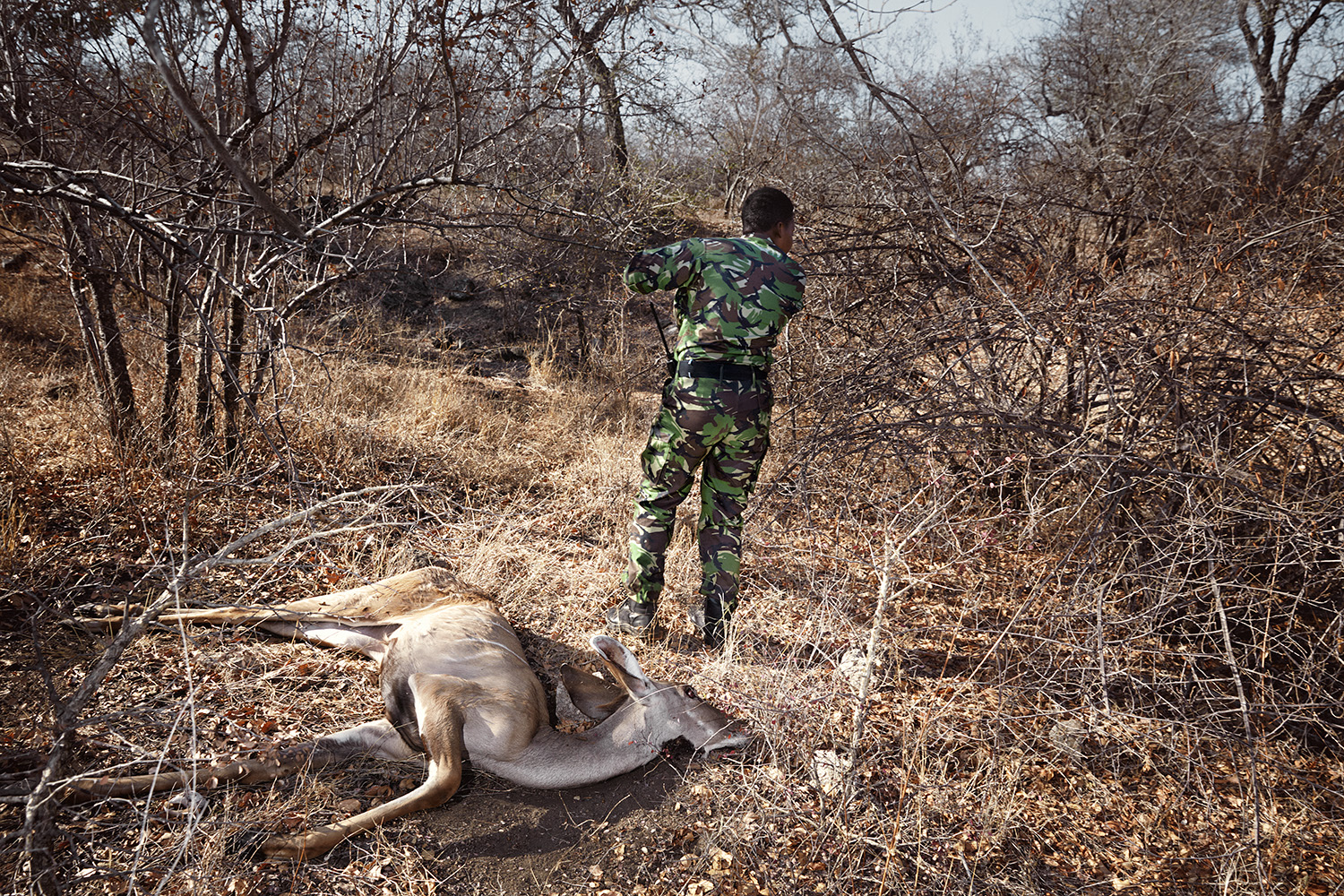 Black Mamba Yenzekile & a dead kudu