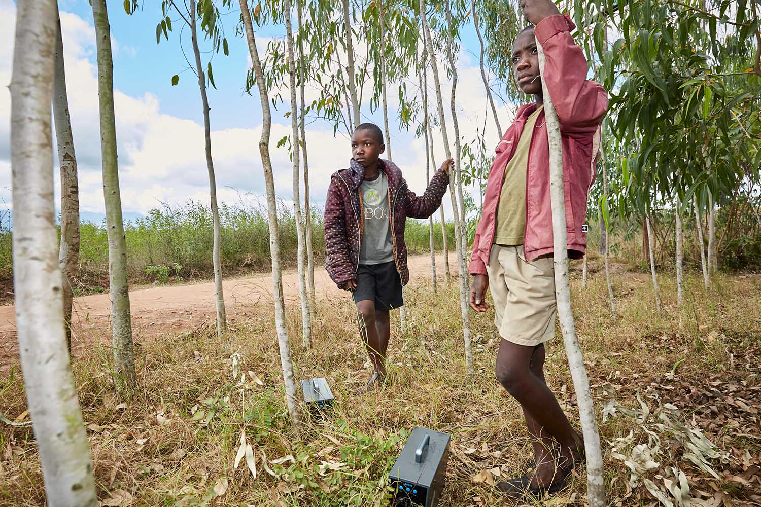  Jan Chumba (12) and his brother Ben (10) carry two solar batteries home, after picking them up at Green Malata, an entrepreneurial training village, Luchenza, Malawi, 2017. 