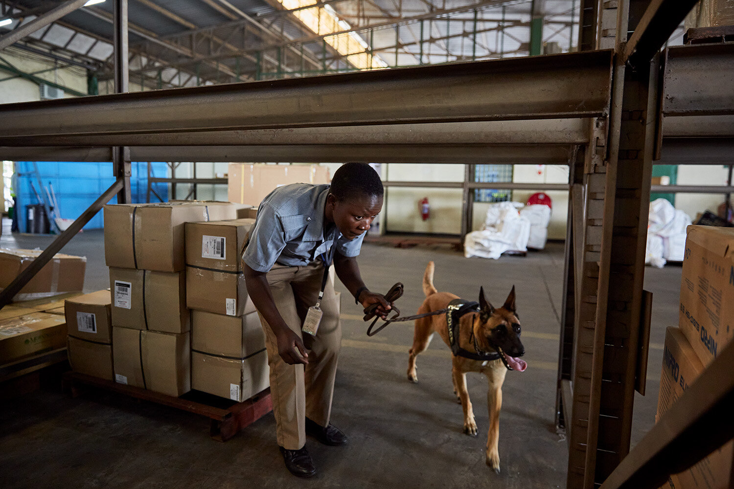 WDDU handler Martha and dog Danna search through the imported cargo hall at Kamuzu International Airport (KIA), Lilongwe, Malawi, 2020. 