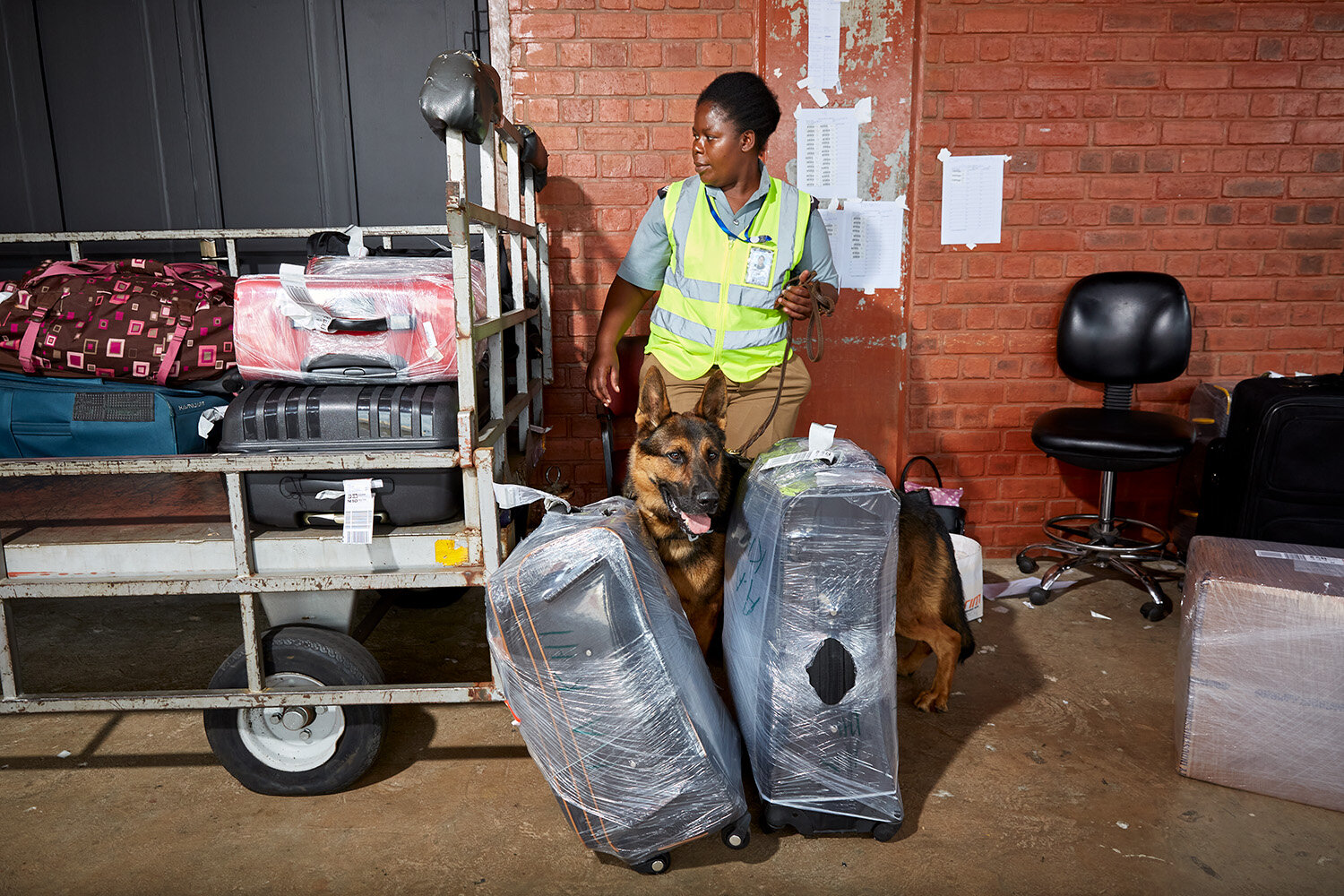  WDDU handler Agnes and dog Max search luggage belonging to arriving passengers at Kamuzu International Airport (KIA), Lilongwe, Malawi, 2020. 