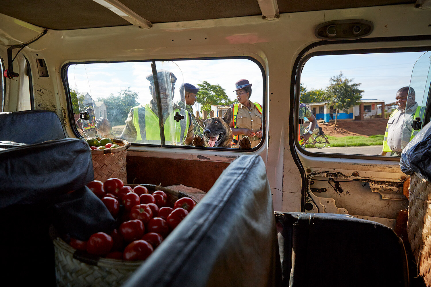  Wildlife Detection Dog Tim searches a minibus at a police road block, Lilongwe, Malawi, 2020. The WDDU uses Malawi Police roadblocks to search vehicles for illegal wildlife products being smuggled in and out of Lilongwe, Malawi’s capital. 