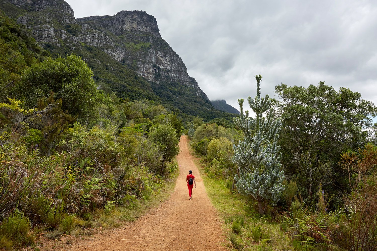  Chedino walks in Kirstenbosch Botanical Gardens, Cape Town, 2022. The last time she was in Kirstenbosch, Chedino was still in primary school. 