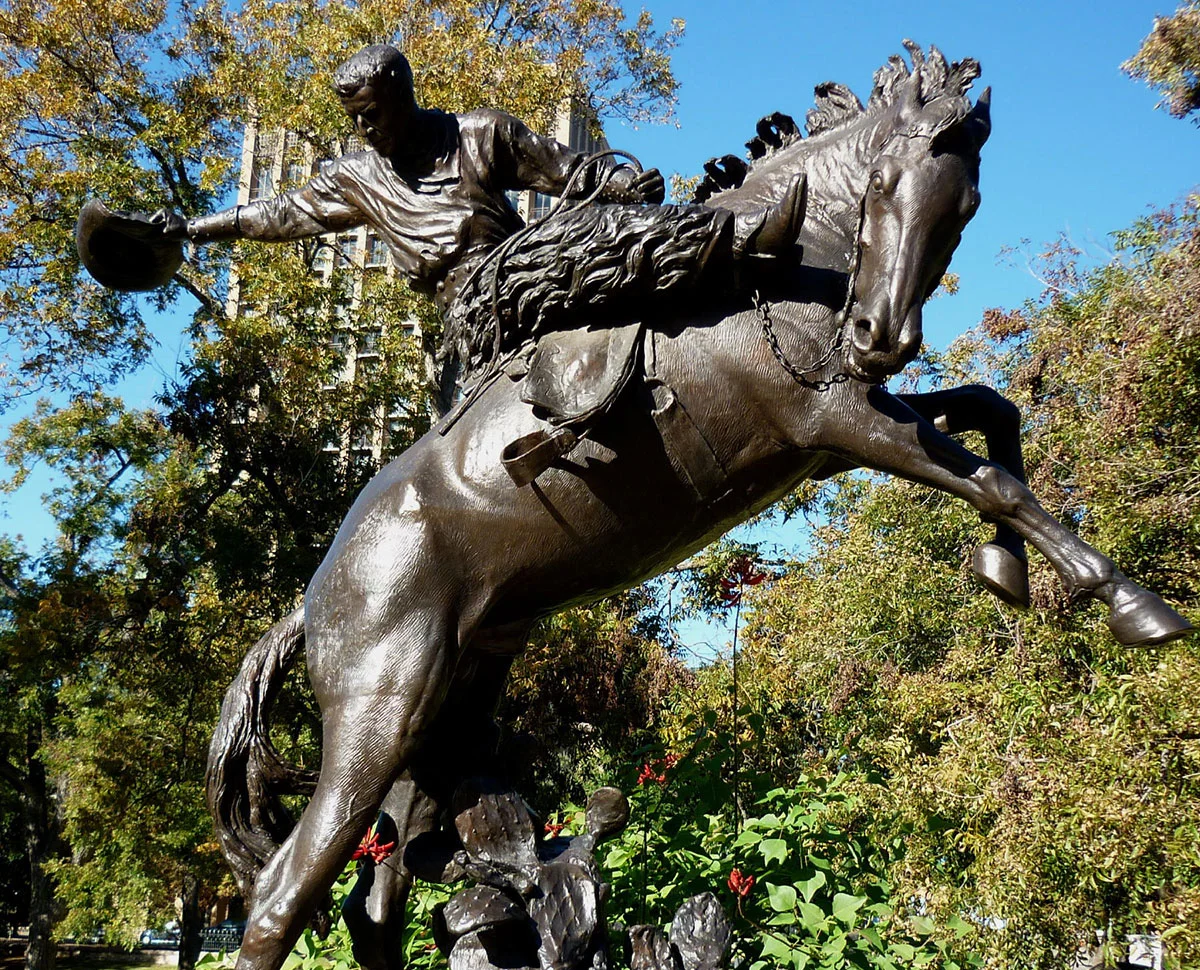 Texas-Cowboy-7.jpg