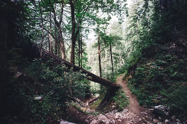 Appalachian-Trail-Museum-PA.jpg