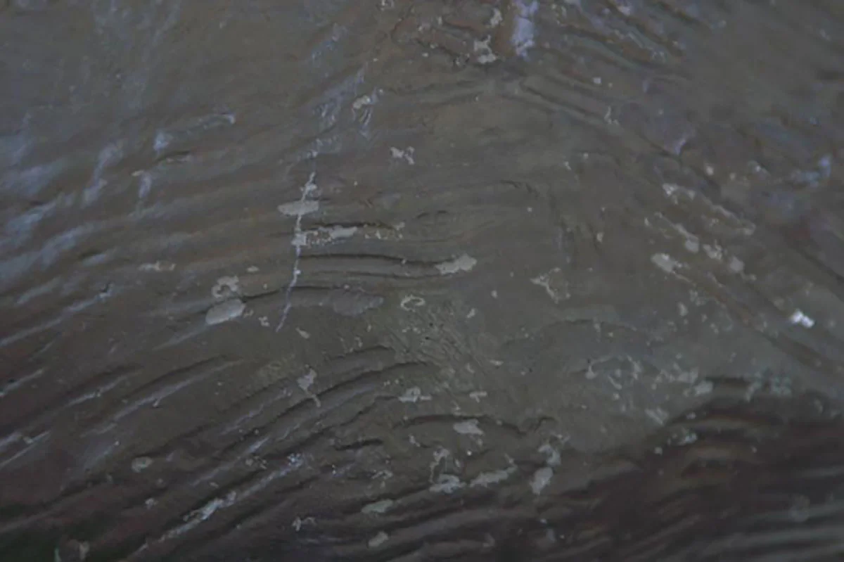 Extreme climate conditions caused lacquer coating on bronze statue to deteriorate.