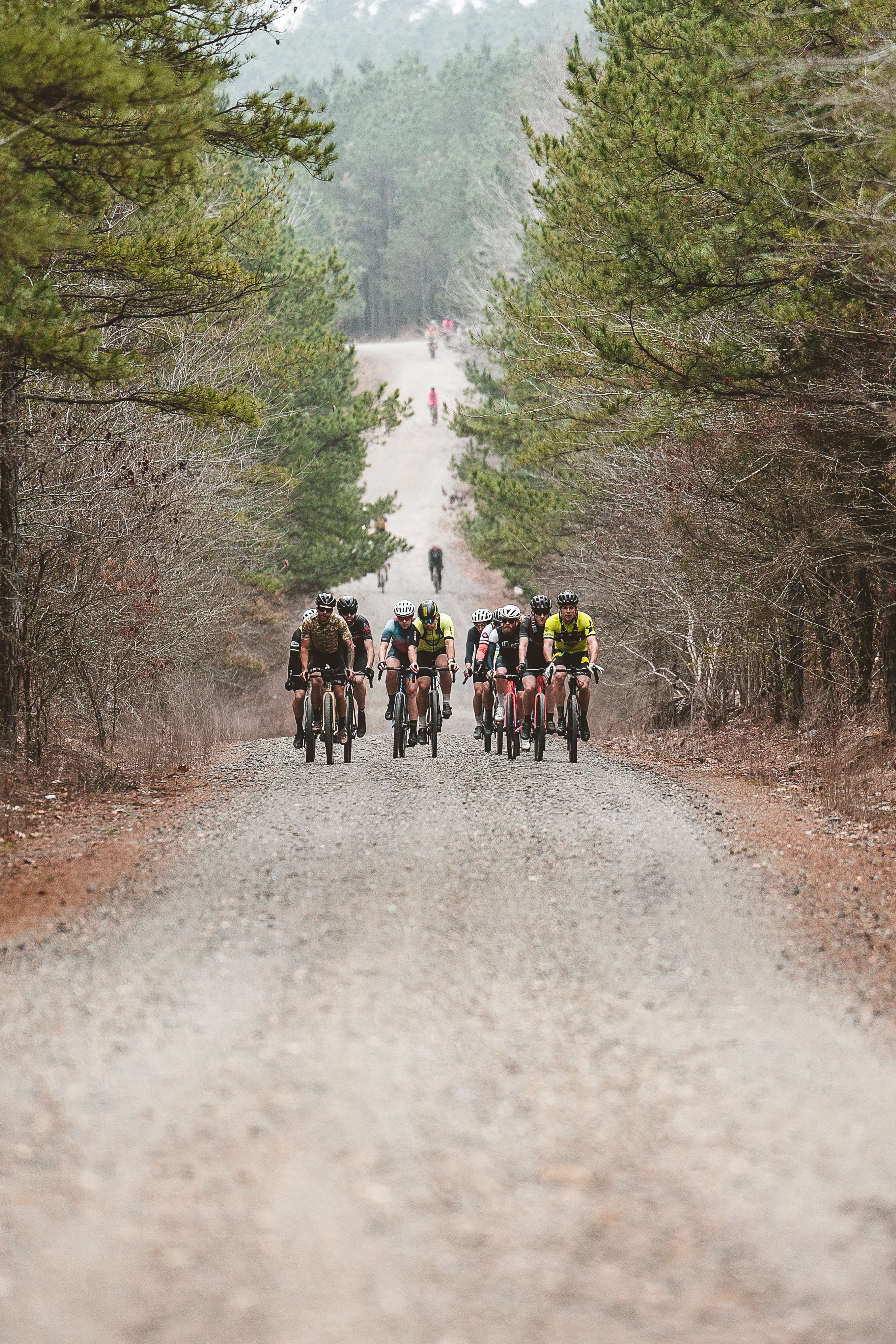 Mountain Biking in Massachusetts: Epic Trails Await!