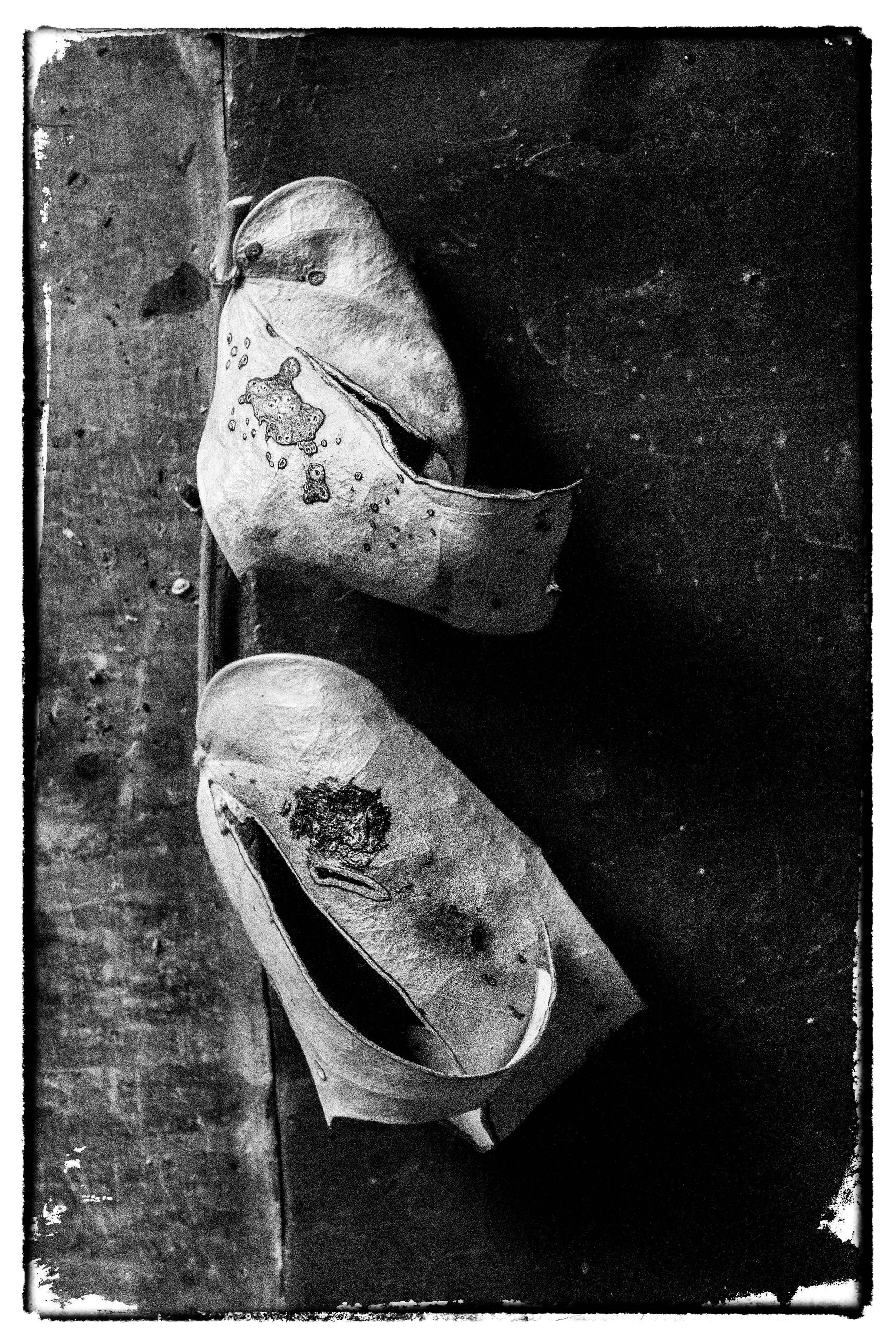 DSC02387-Edit-Edit.jpg