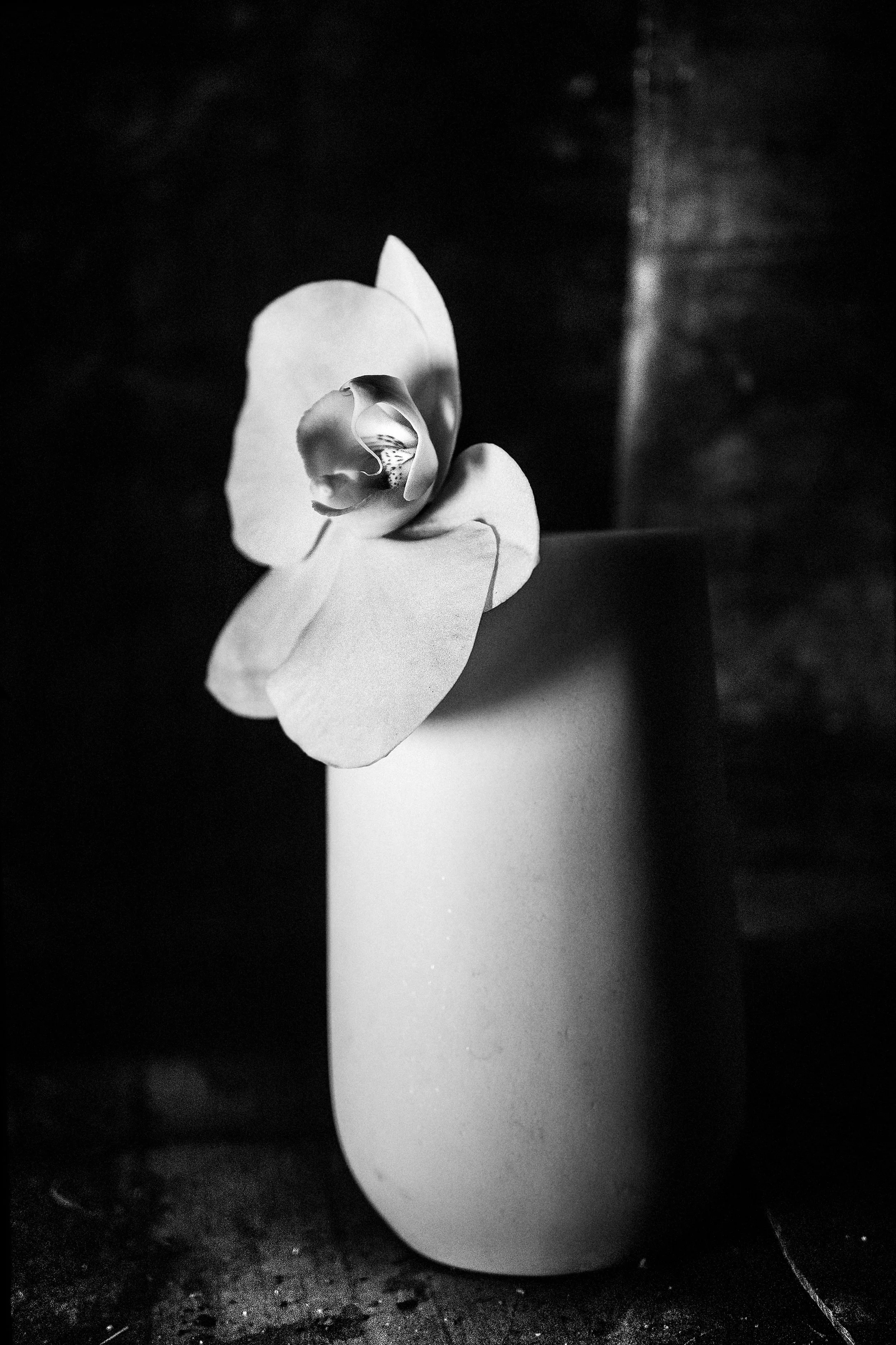 DSC03591-Edit.jpg
