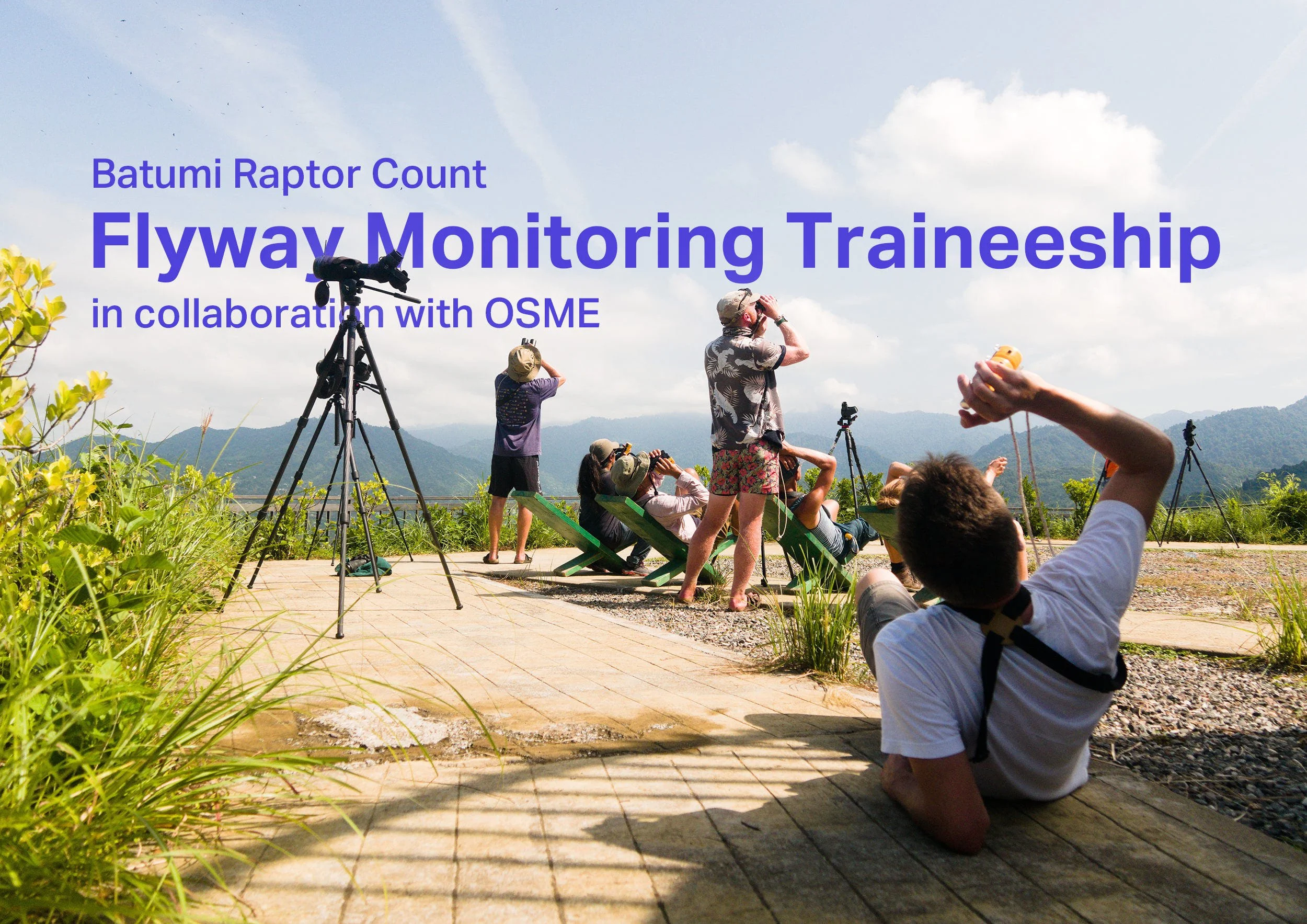 Applications open for the 2025 Flyway Monitoring Traineeship — Batumi ...