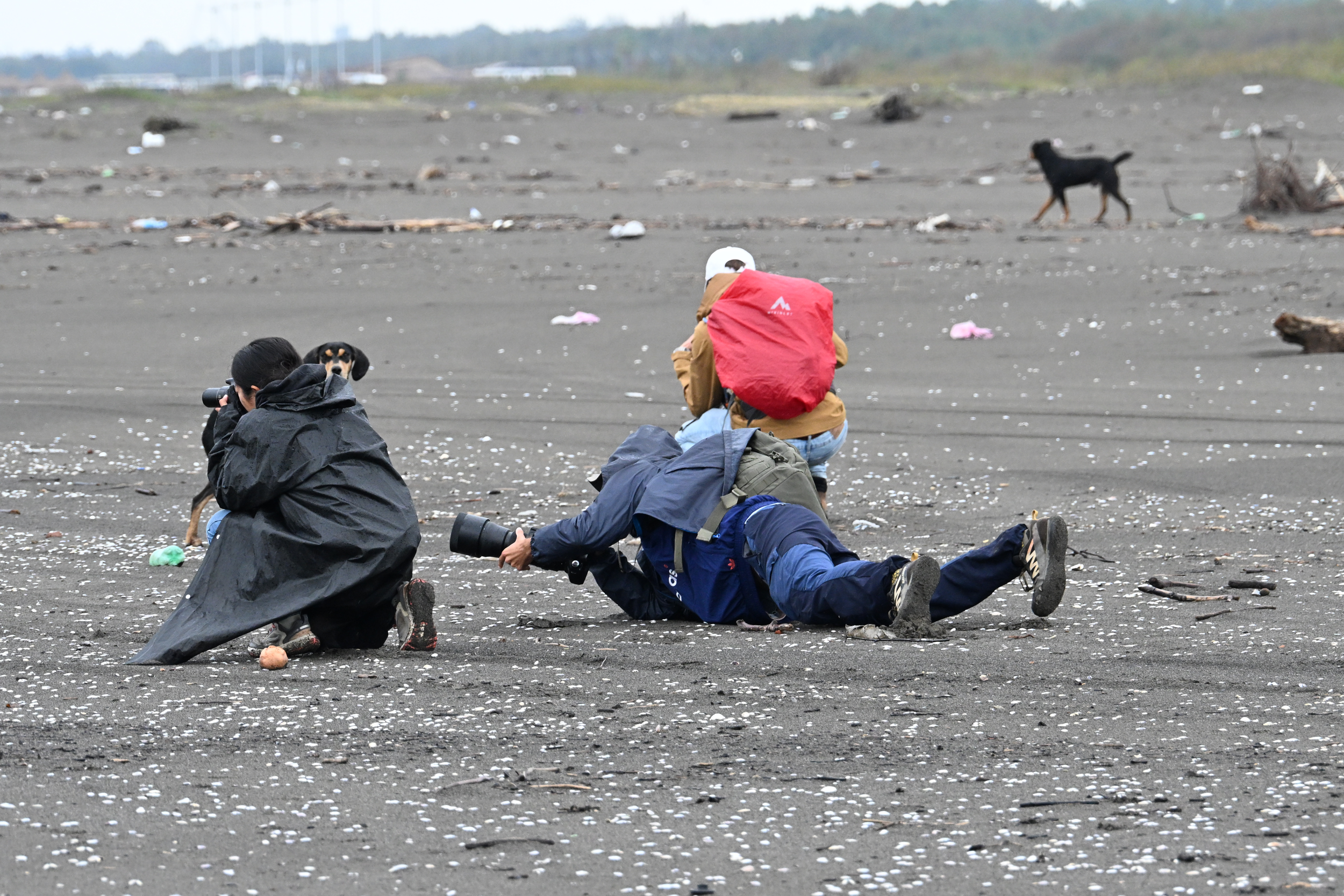 Arctic Skua photographing Crew behind the scenes_Eva Drukker(1).png