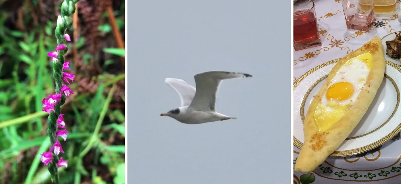 Photos by Xu Shi and Bjorn Alards.