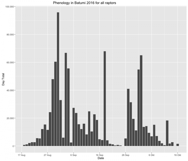 Raptor-Migration-Phenology-all-raptors-2016-Batumi.png