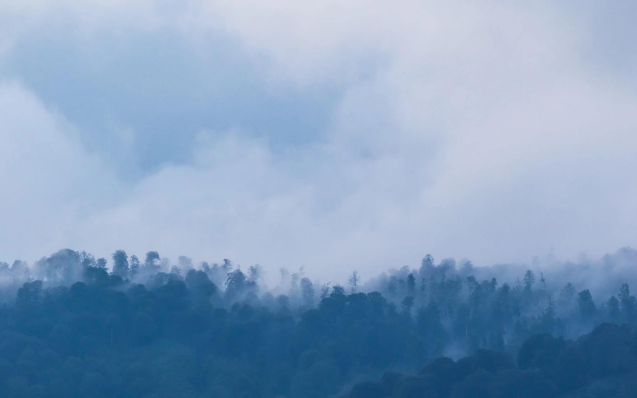 The view from Station 2 - especially nice on a misty day like today. Photo by Bart Hoekstra.
