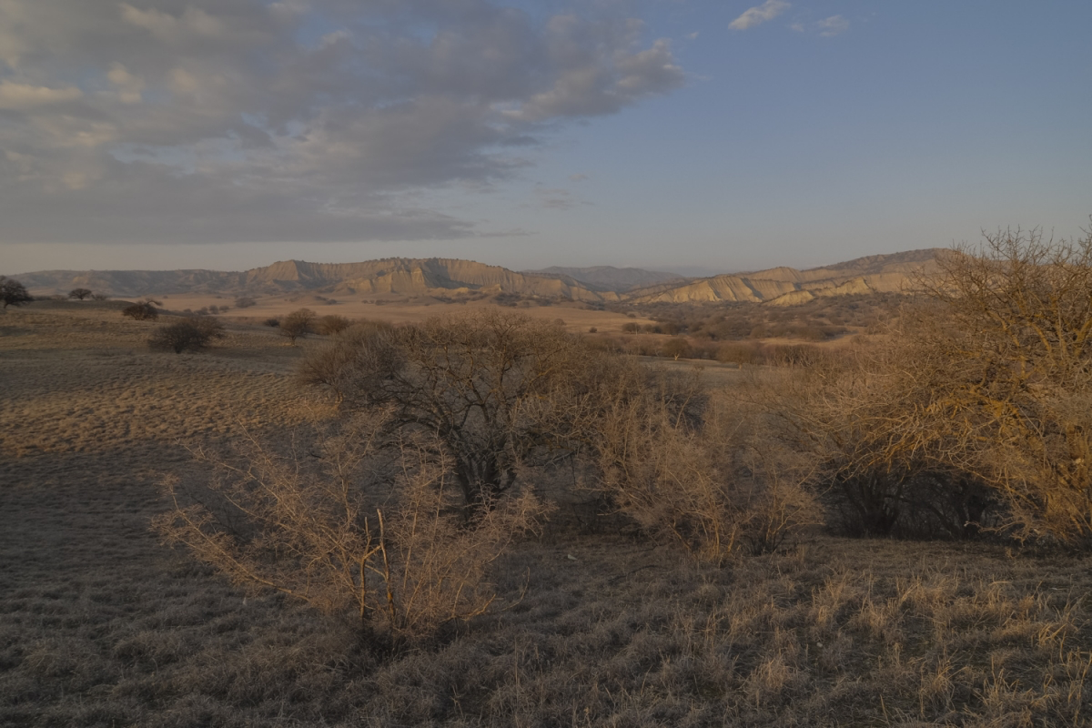Stunning landscapes in Vashlovani NP (Hugh Jansman)