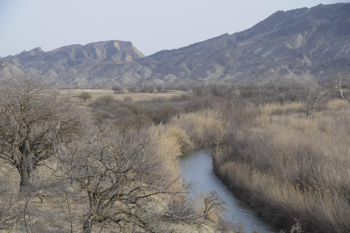 The Iori river (Hugh Jansman)
