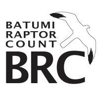Batumi Raptor Count