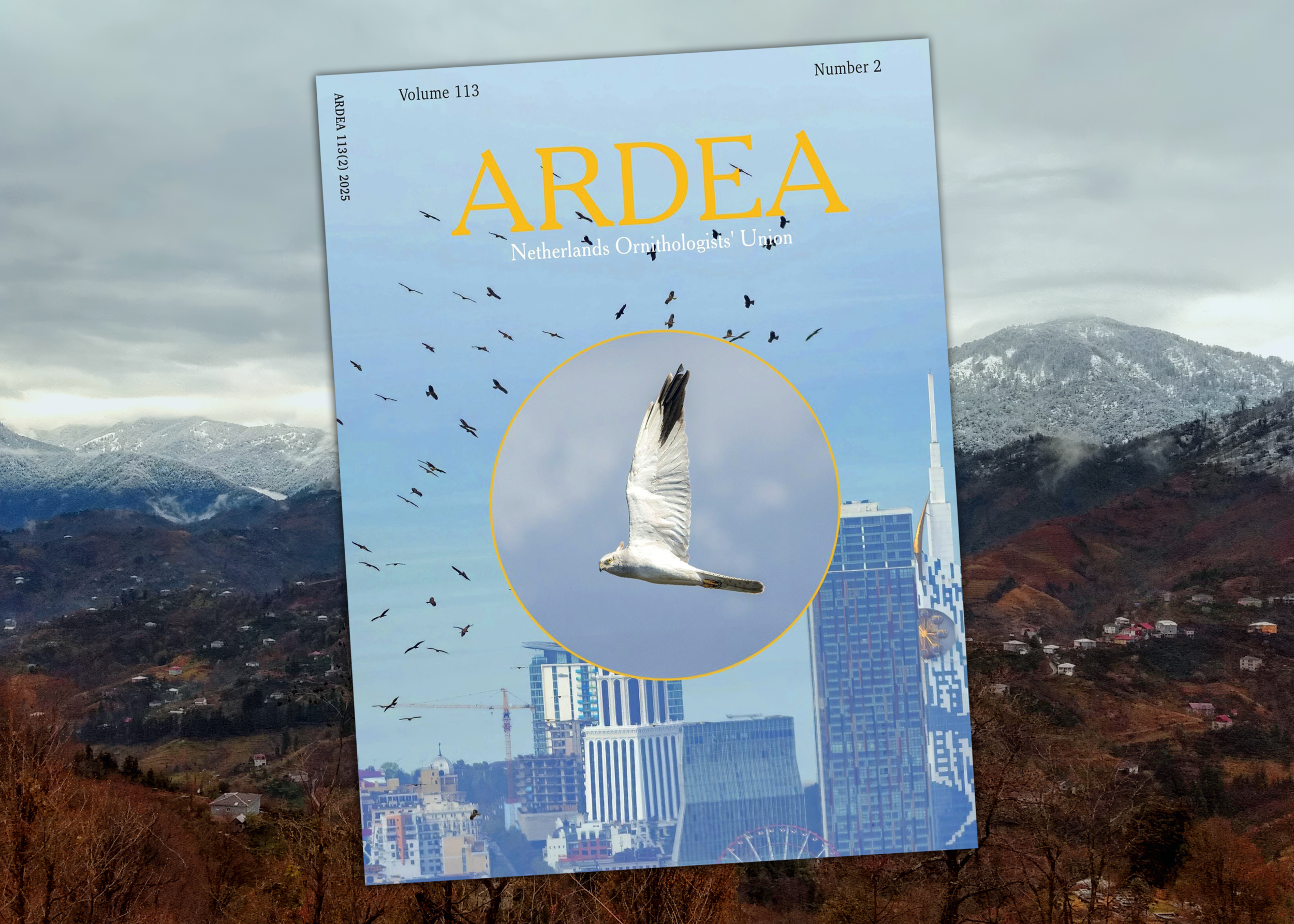New publication in Ardea: The eastern Black Sea coast as a principal raptor flyway in spring