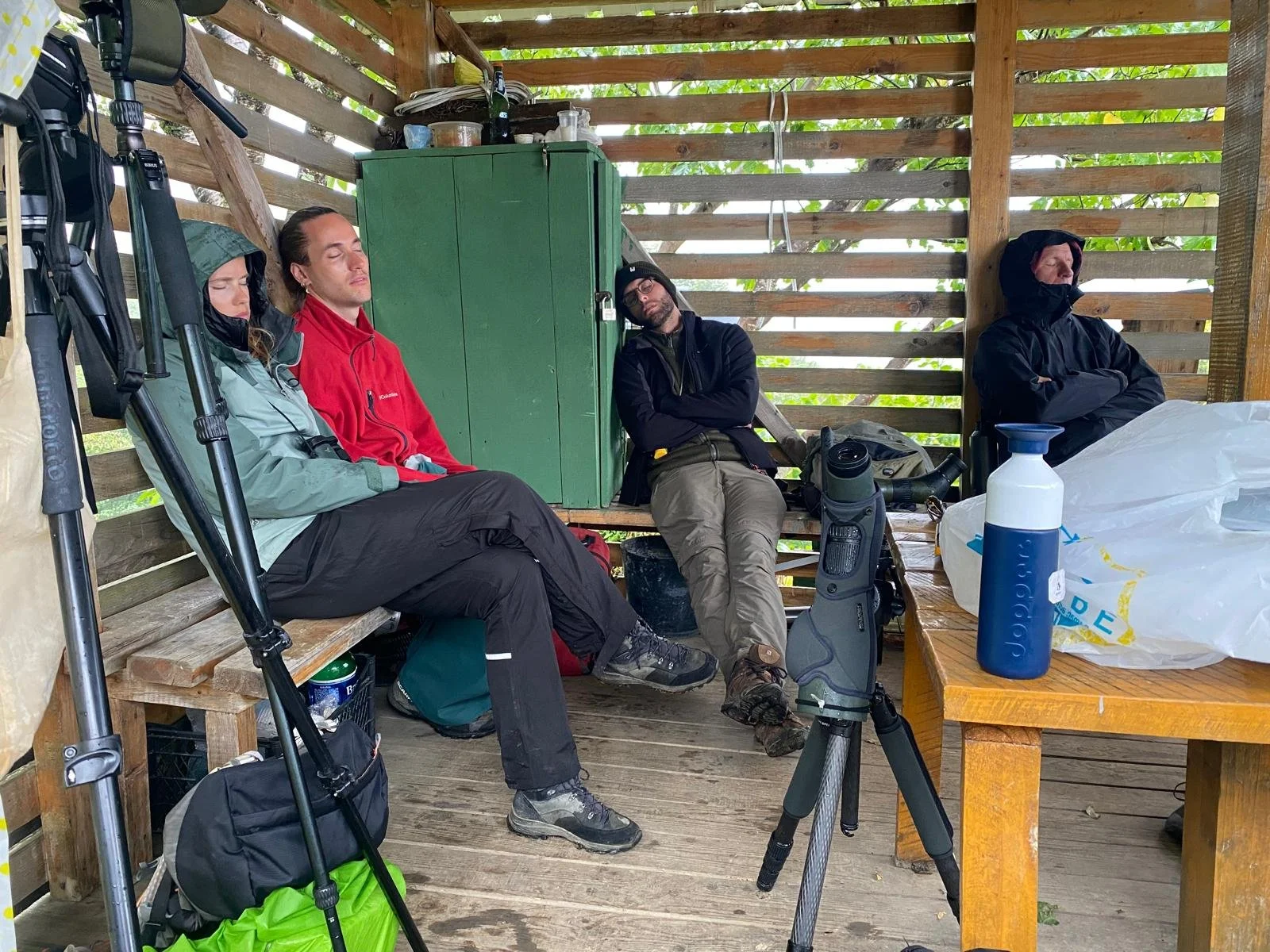 WhatsApp Image 2025-09-26 at 17.43.36.jpeg