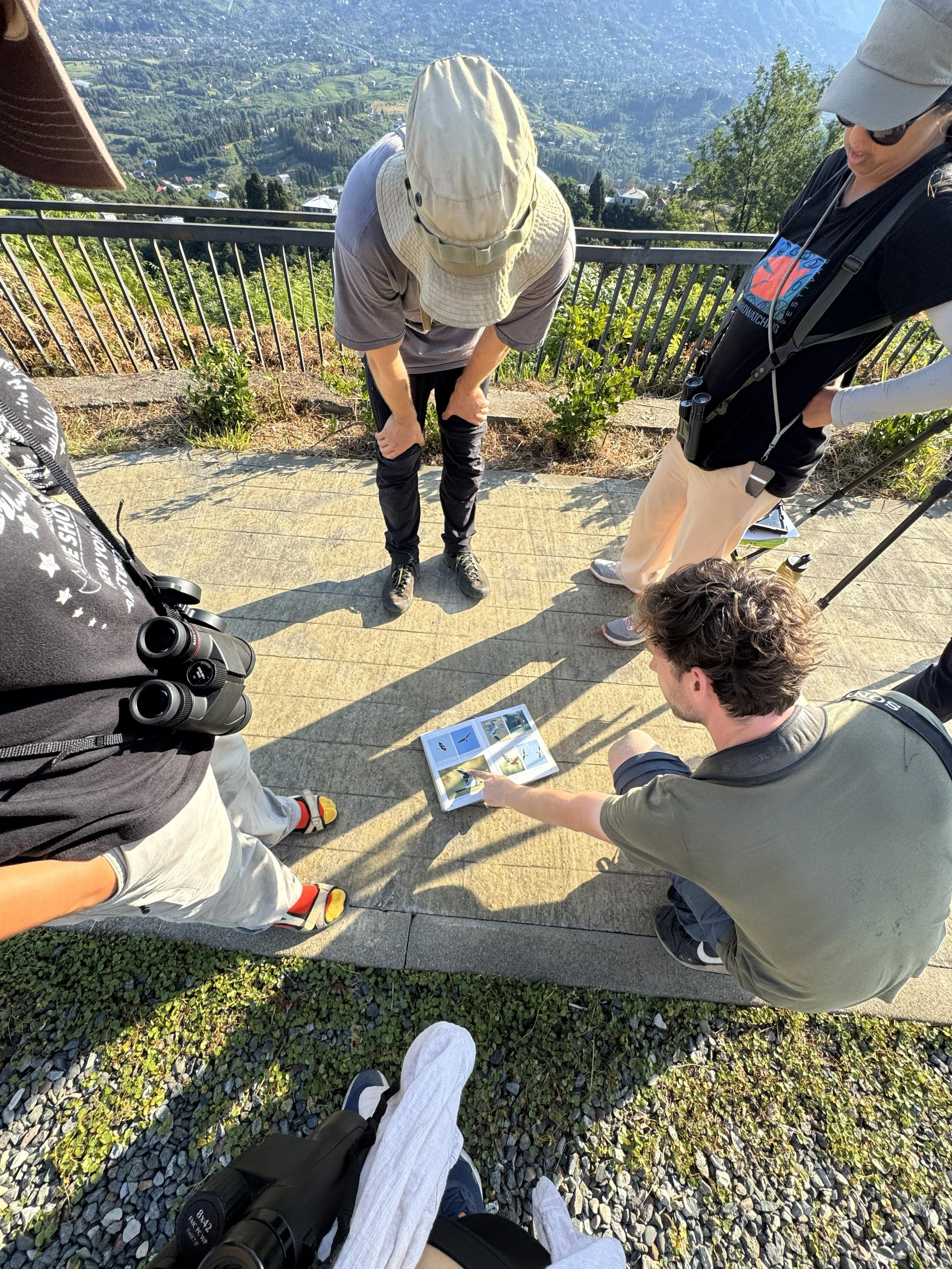 BTS_studying the birds_Leyla Muslim.jpg