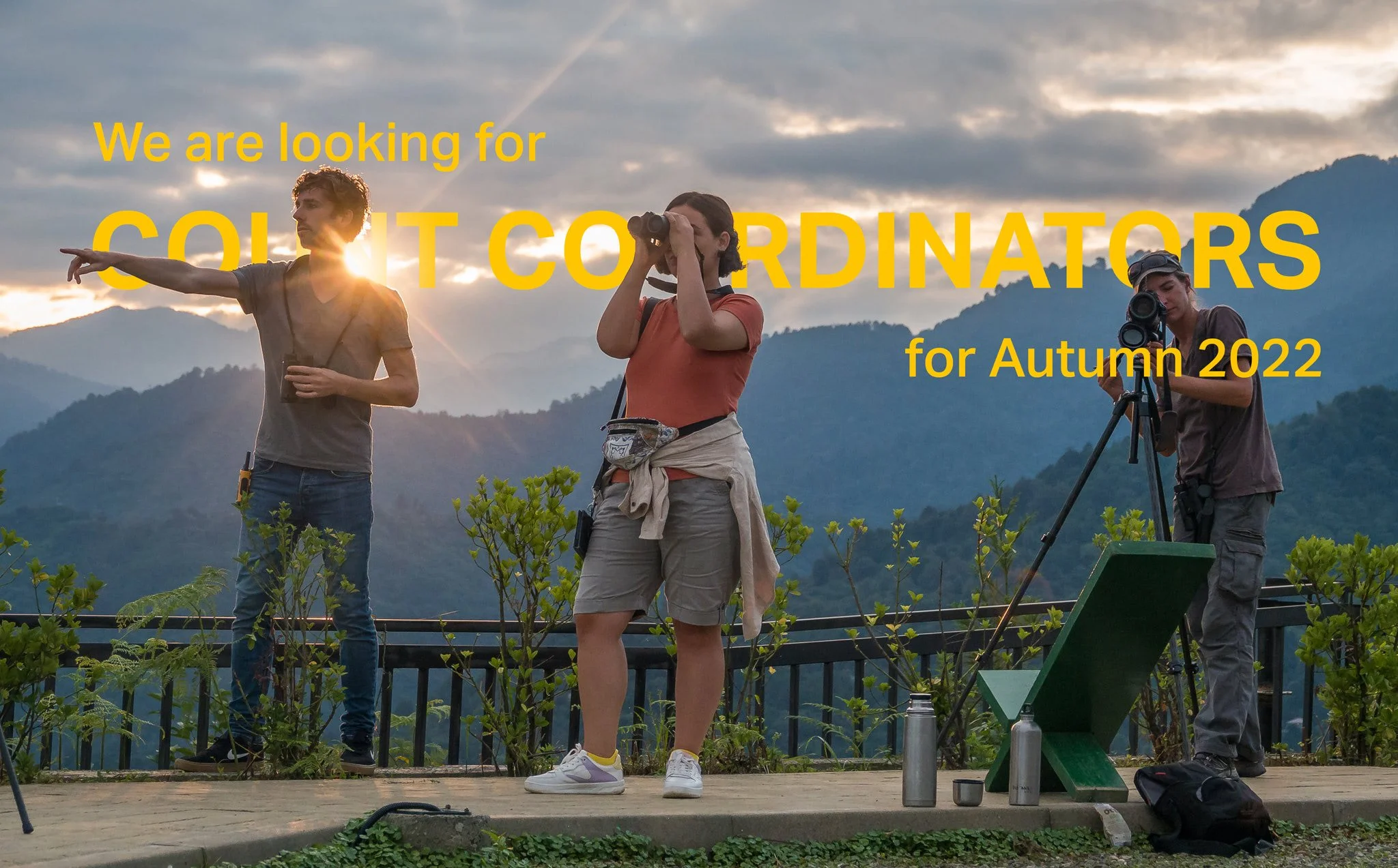 Count Coordinators for Autumn 2021 — Batumi Raptor Count