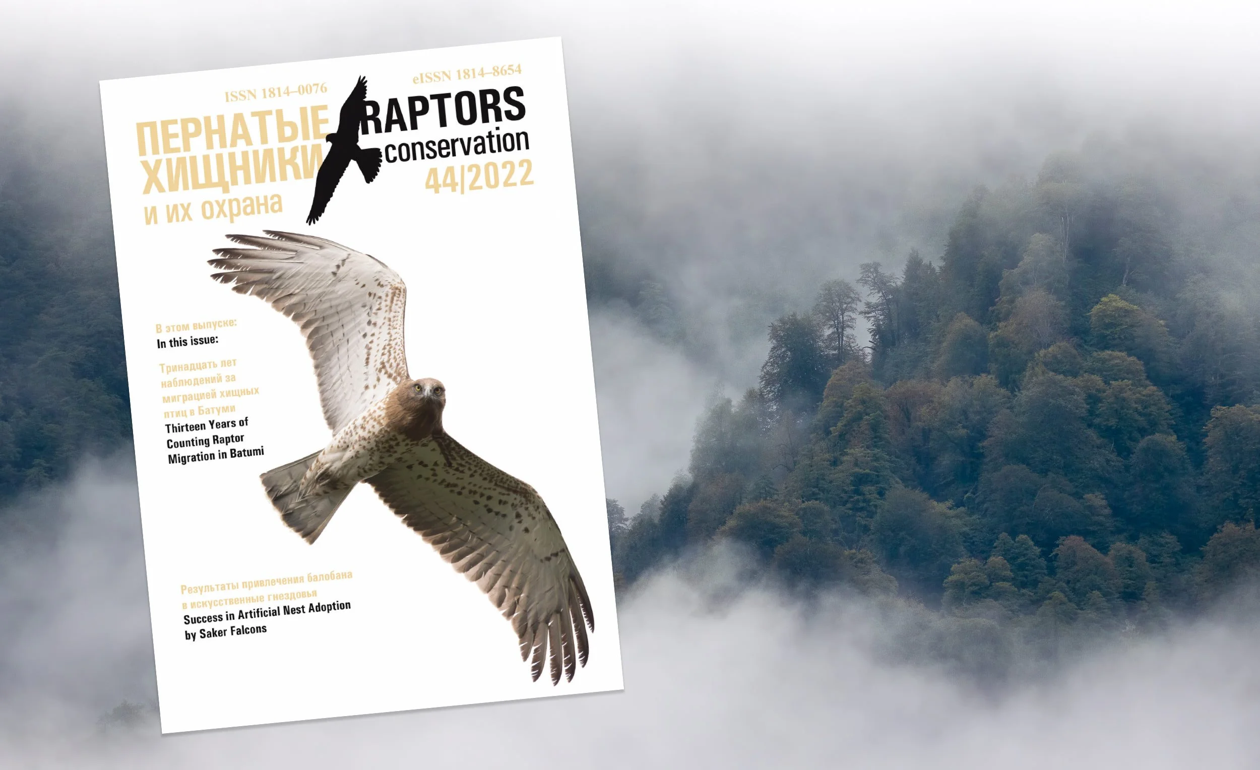 Russian Hawks Raptors First BRC publication in Russian Raptors Conservation journal — Batumi ...
