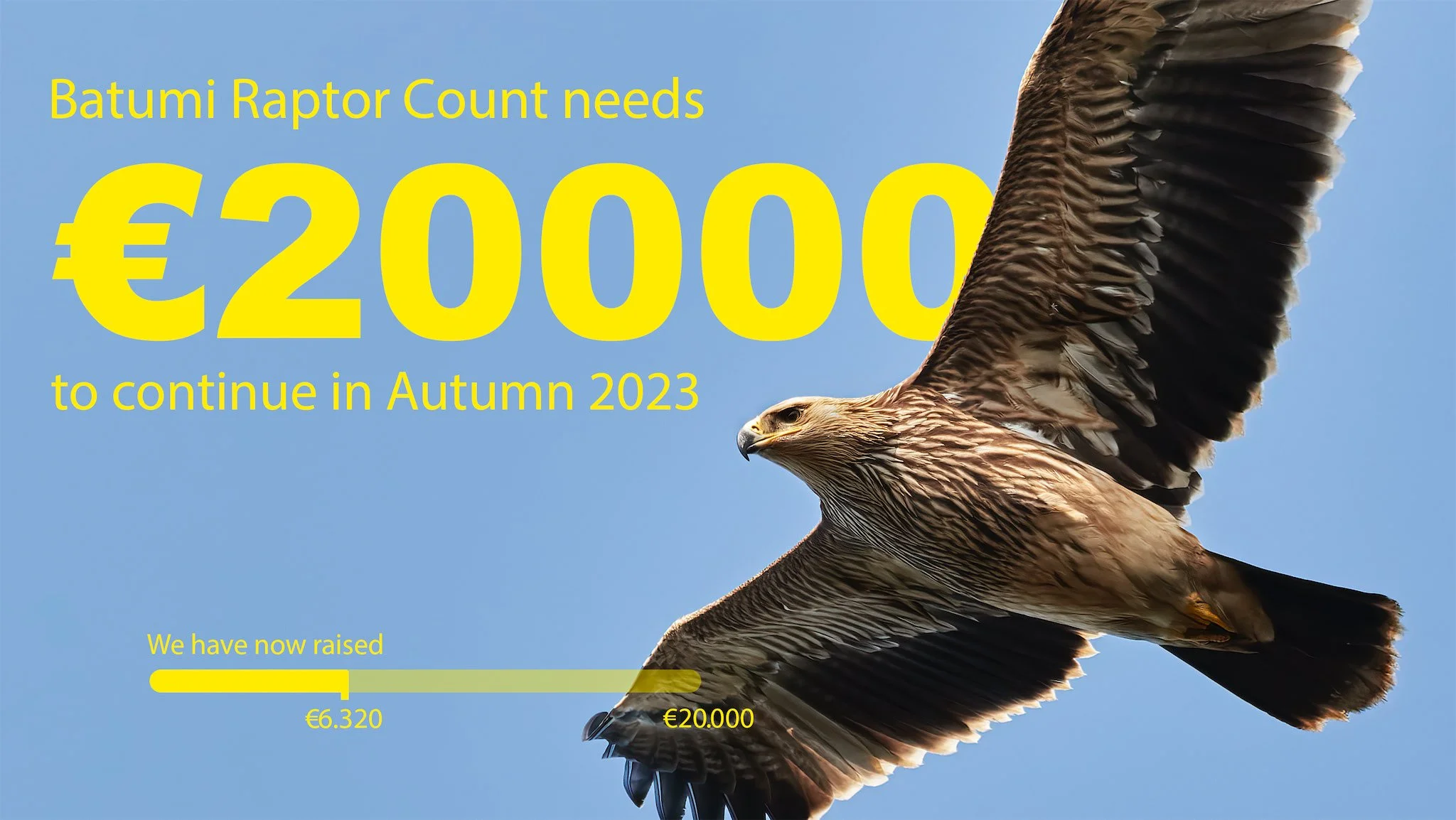 Fundraiser for 2023 — Batumi Raptor Count