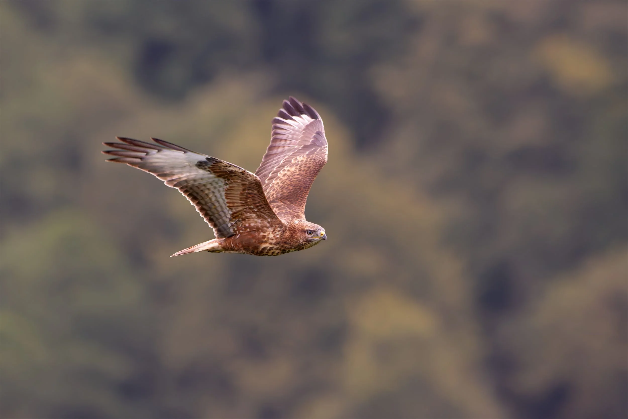 And… it’s a wrap. What a season!