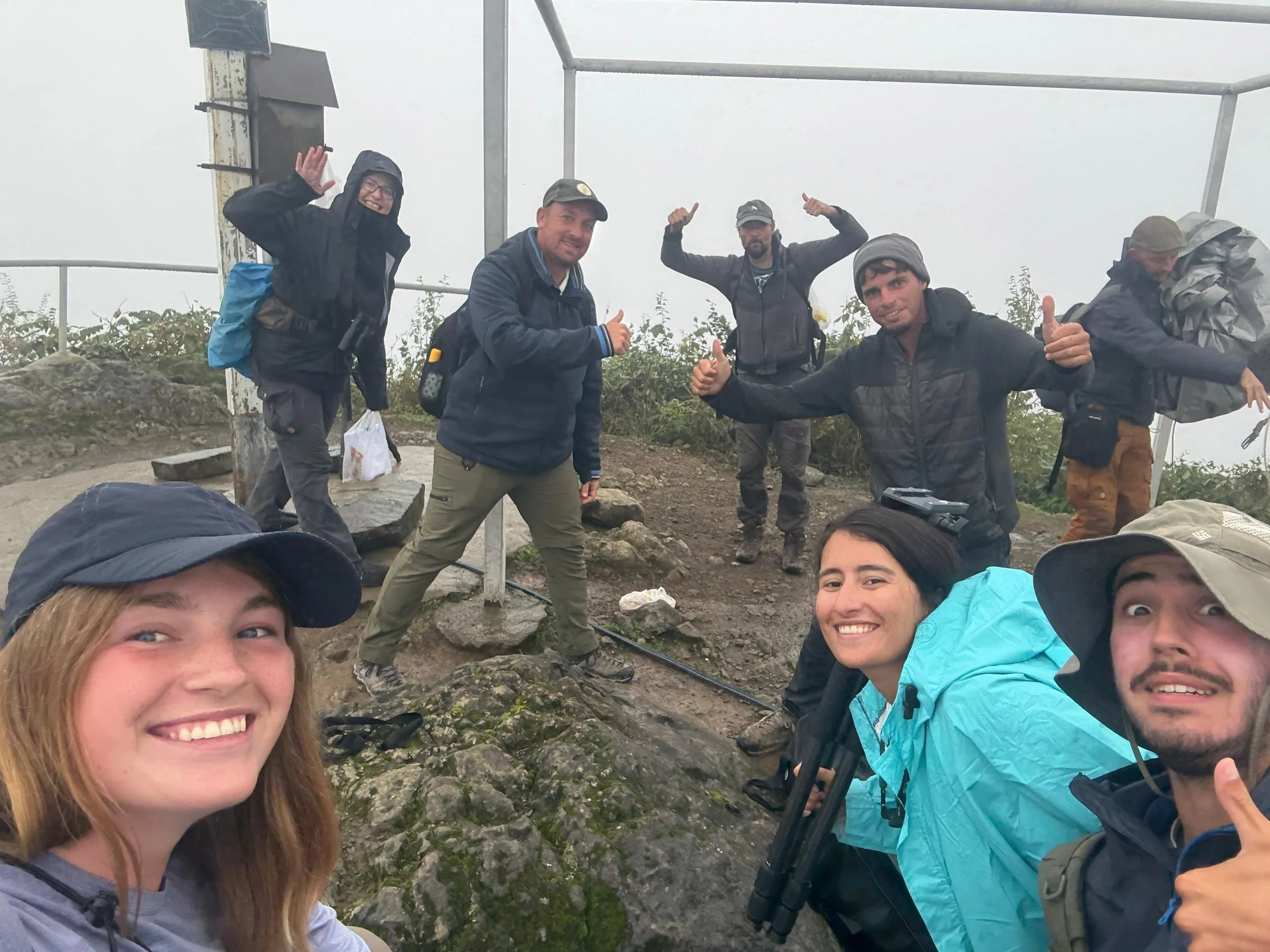 WhatsApp Image 2025-10-08 at 09.04.56.jpeg