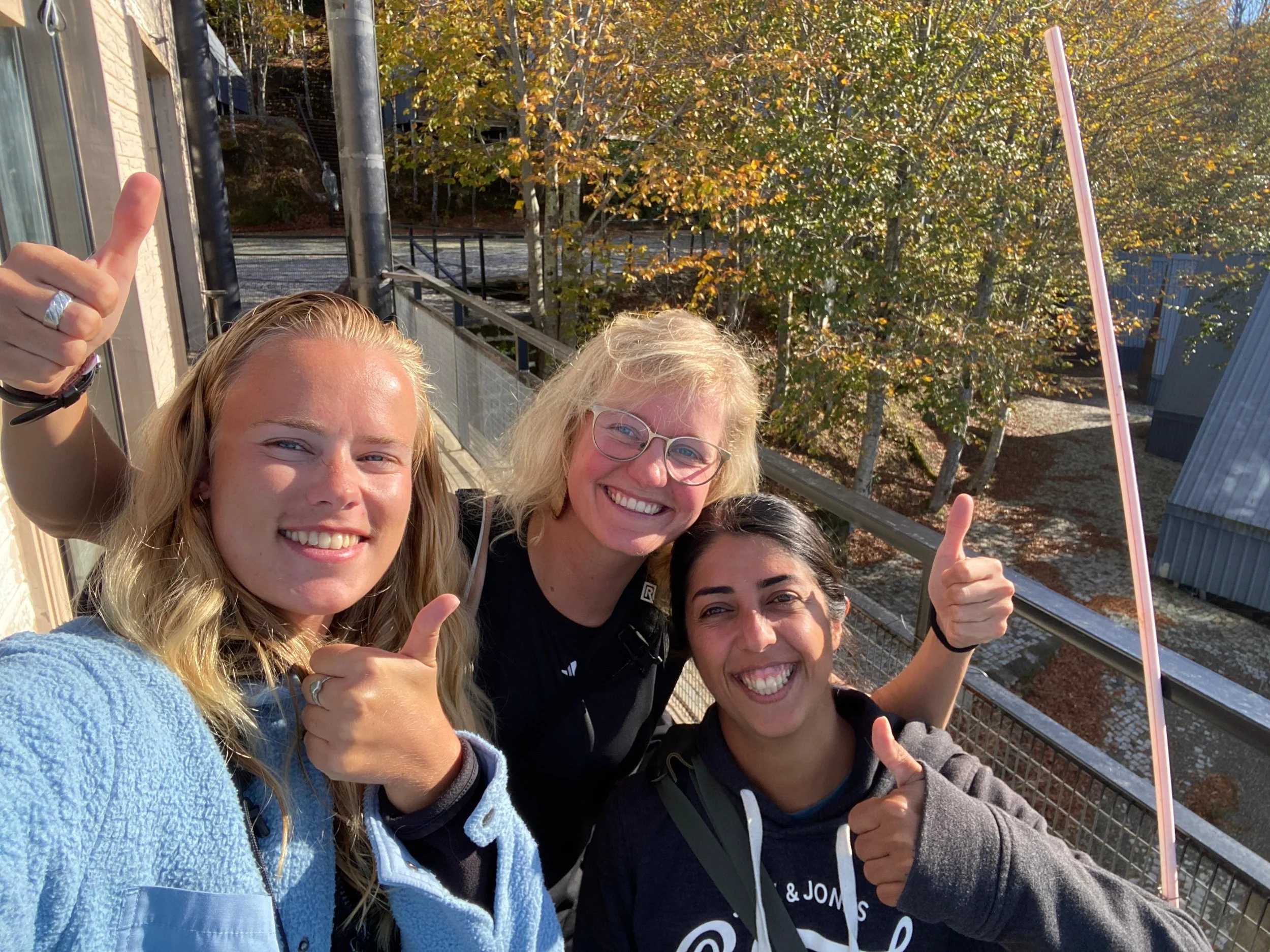 People_1.5million raptors.jpeg