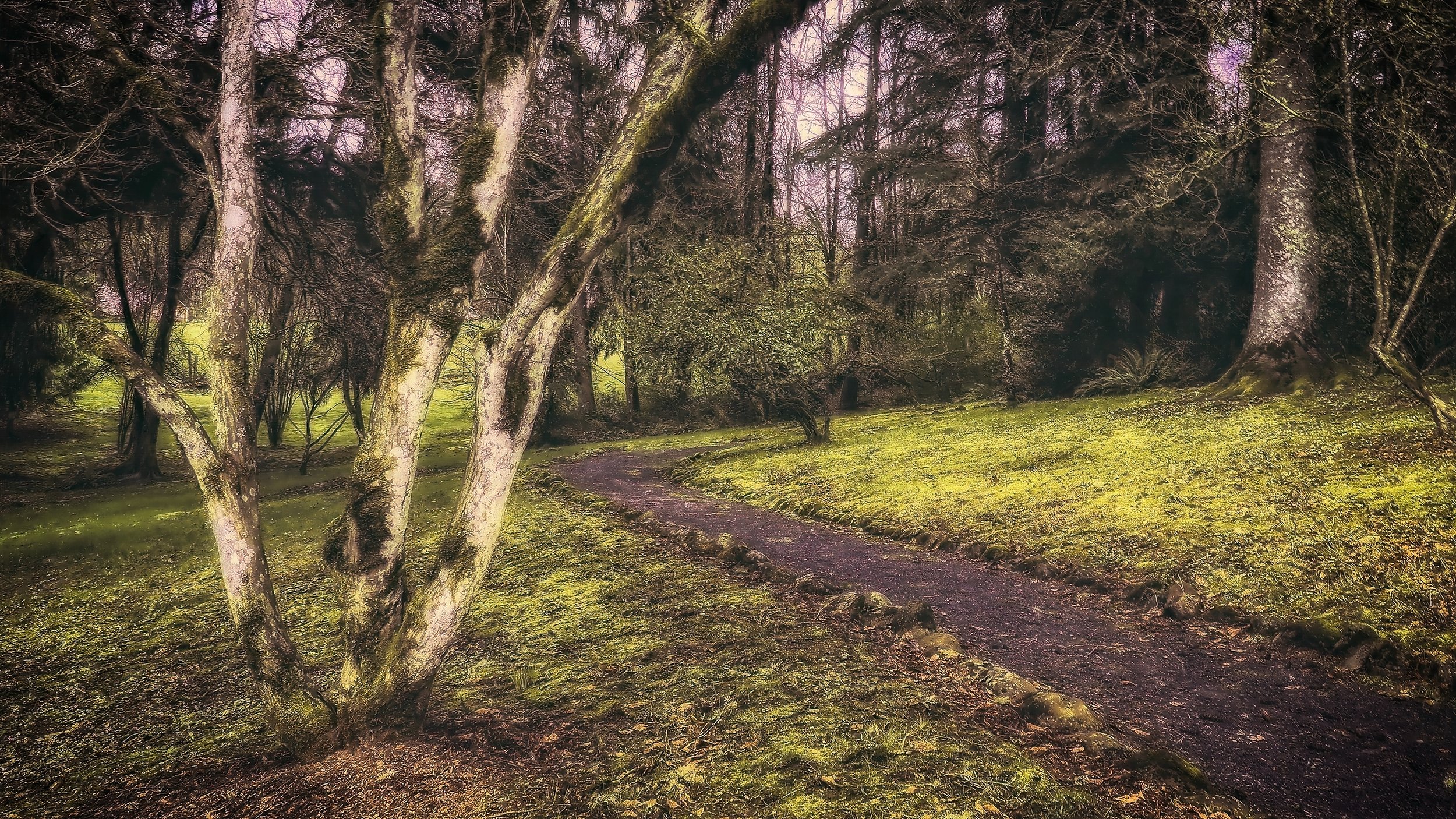 Recovery52 – Week 02 – Self-Awareness