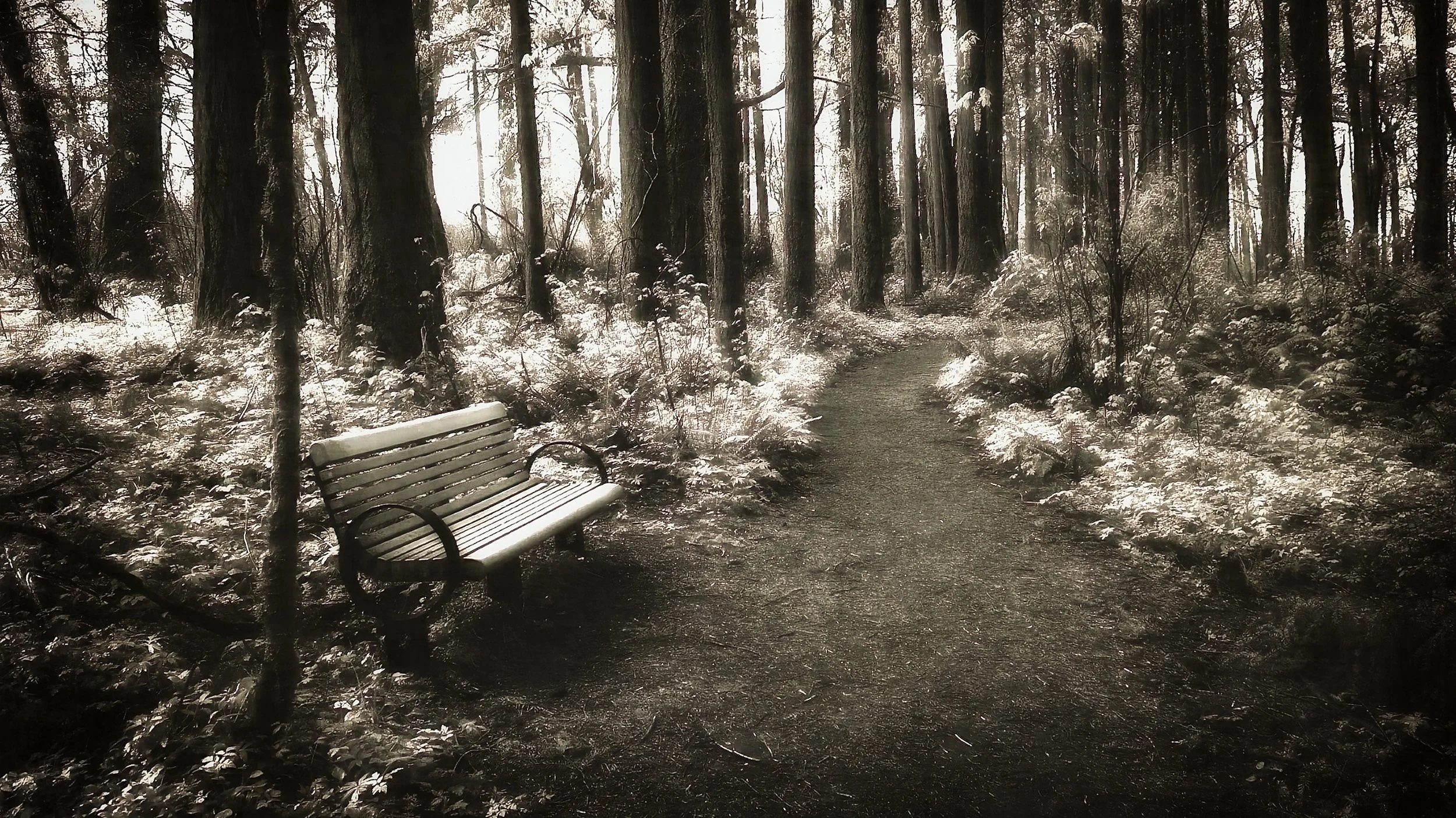 Recovery52 – Week 25 – Feeling My Feelings