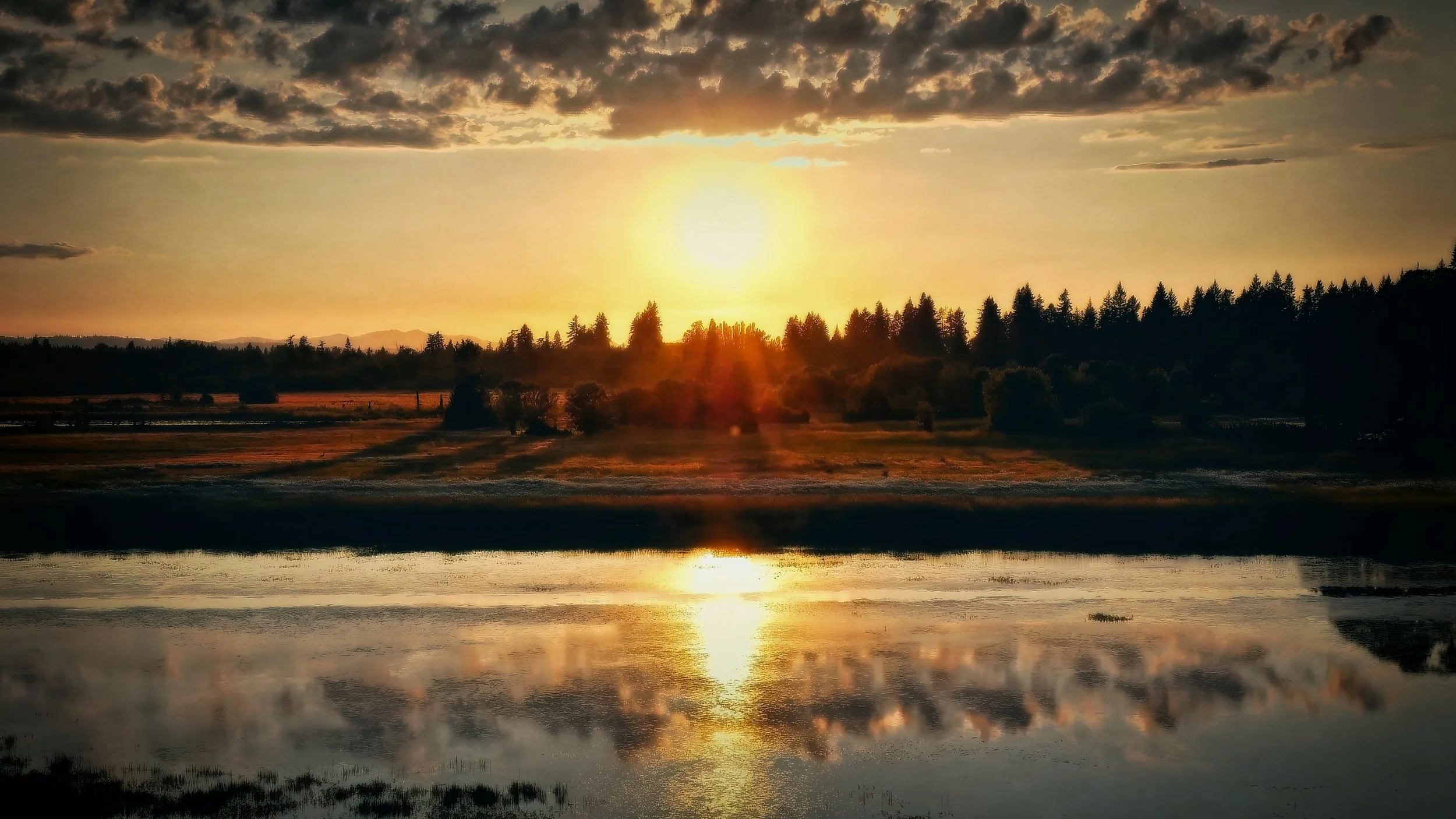 Recovery52 – Week 26 – Habit Slipping