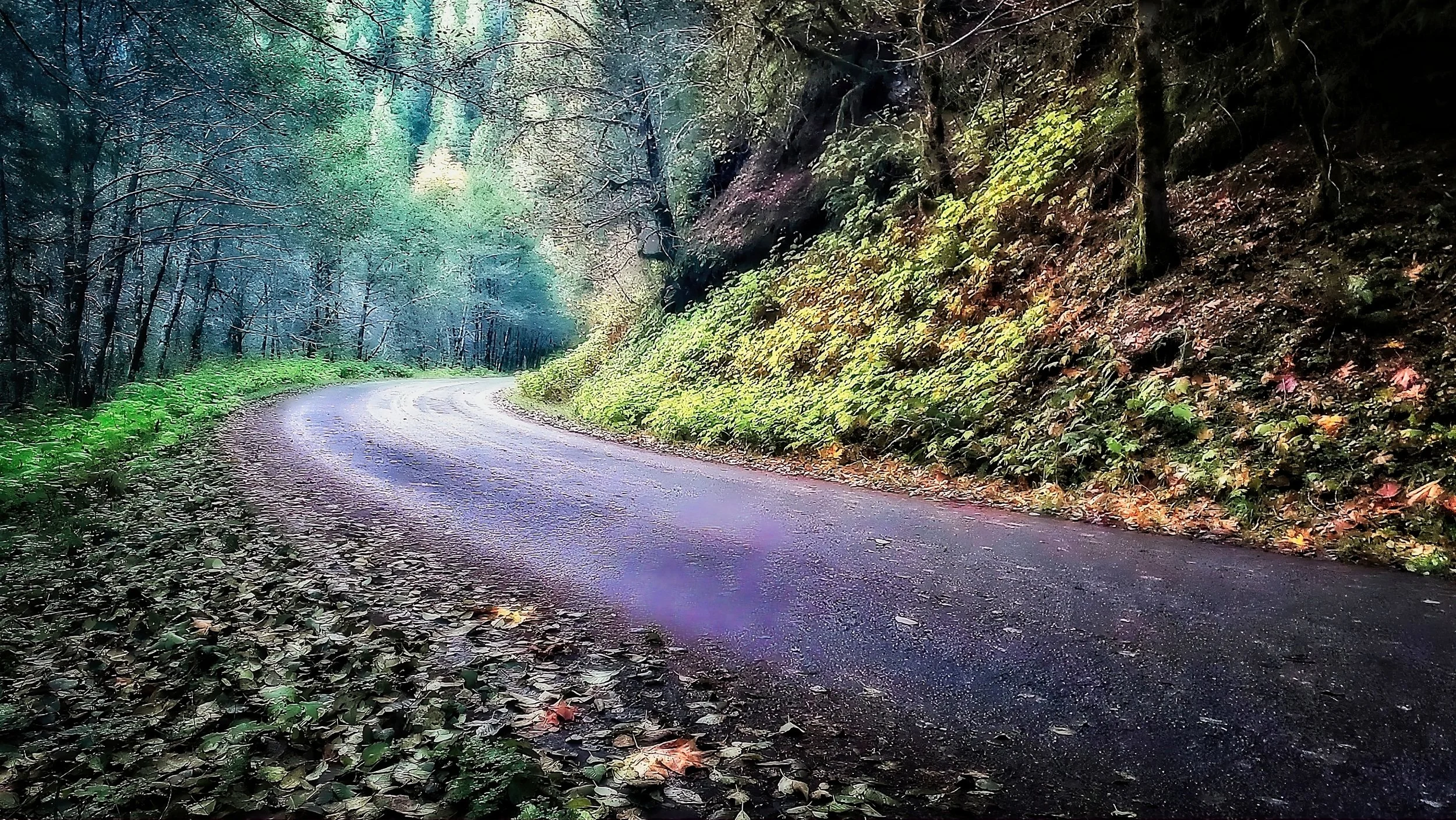 Recovery52 – Week 28 – Avoiding and Evading