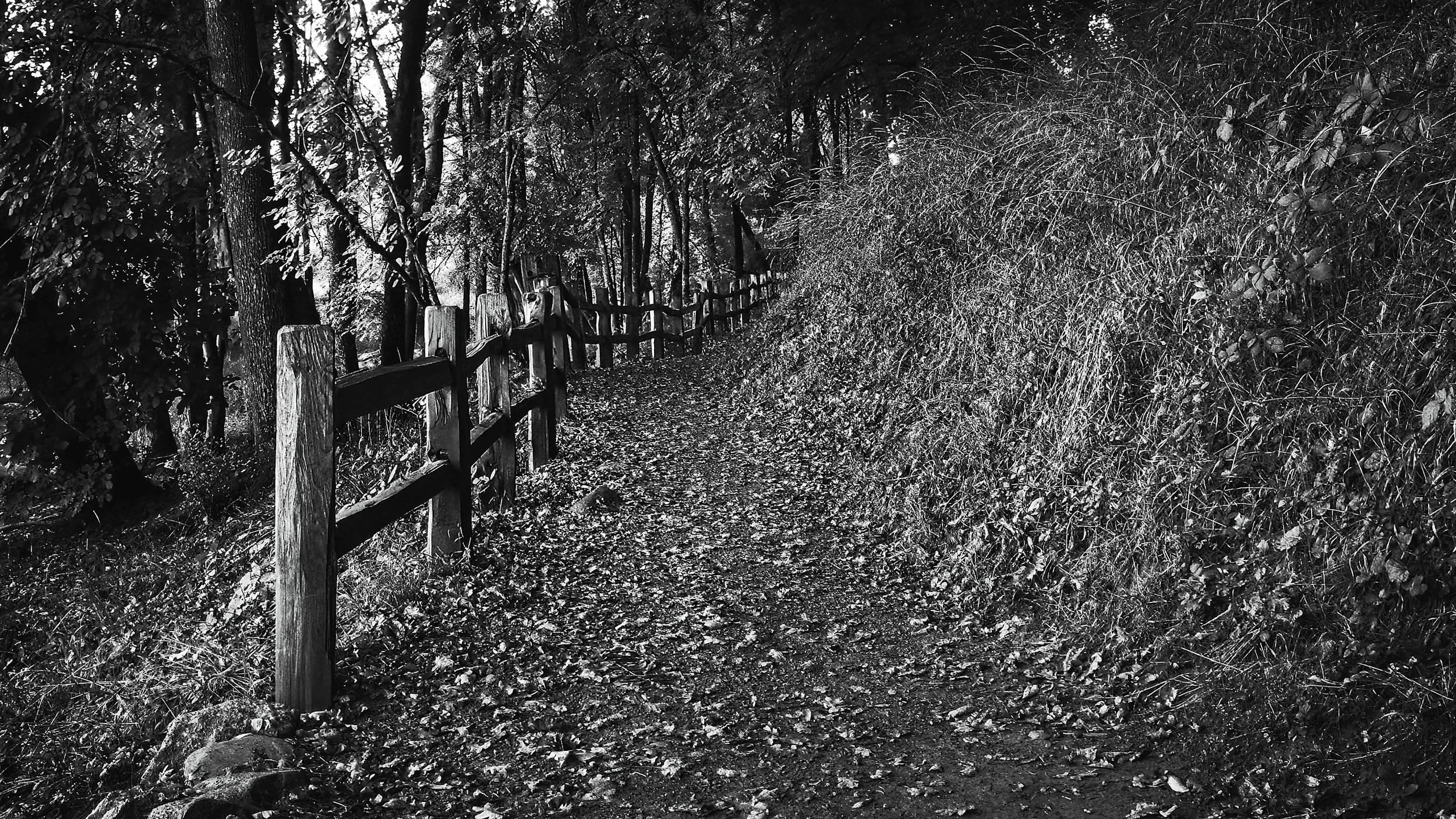 Recovery52 – Week 37 – Moving Forward