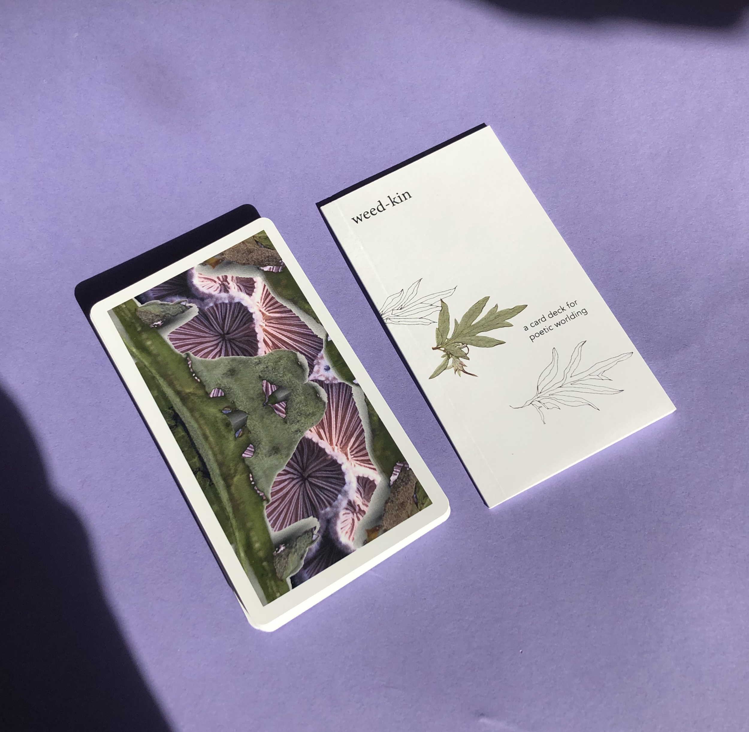 Weed Kin, 2020, Card Deck, 2.75%22 x 4.75%22 screenshot.png