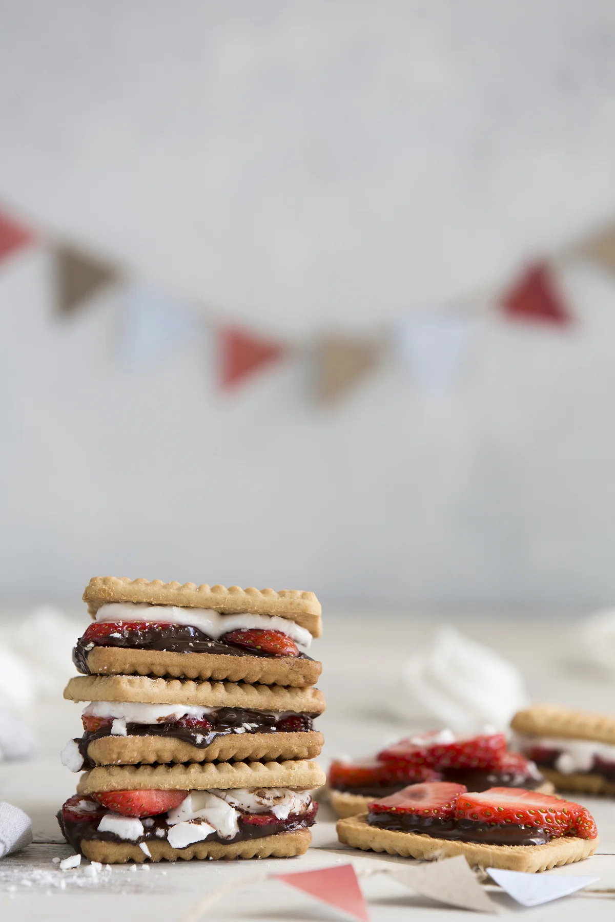 Smores Final_02.jpg