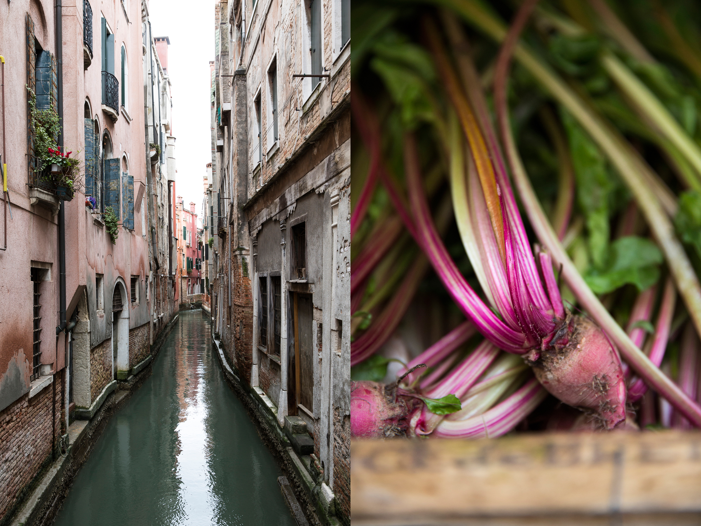 Venice Canal & Beets DPS .jpg
