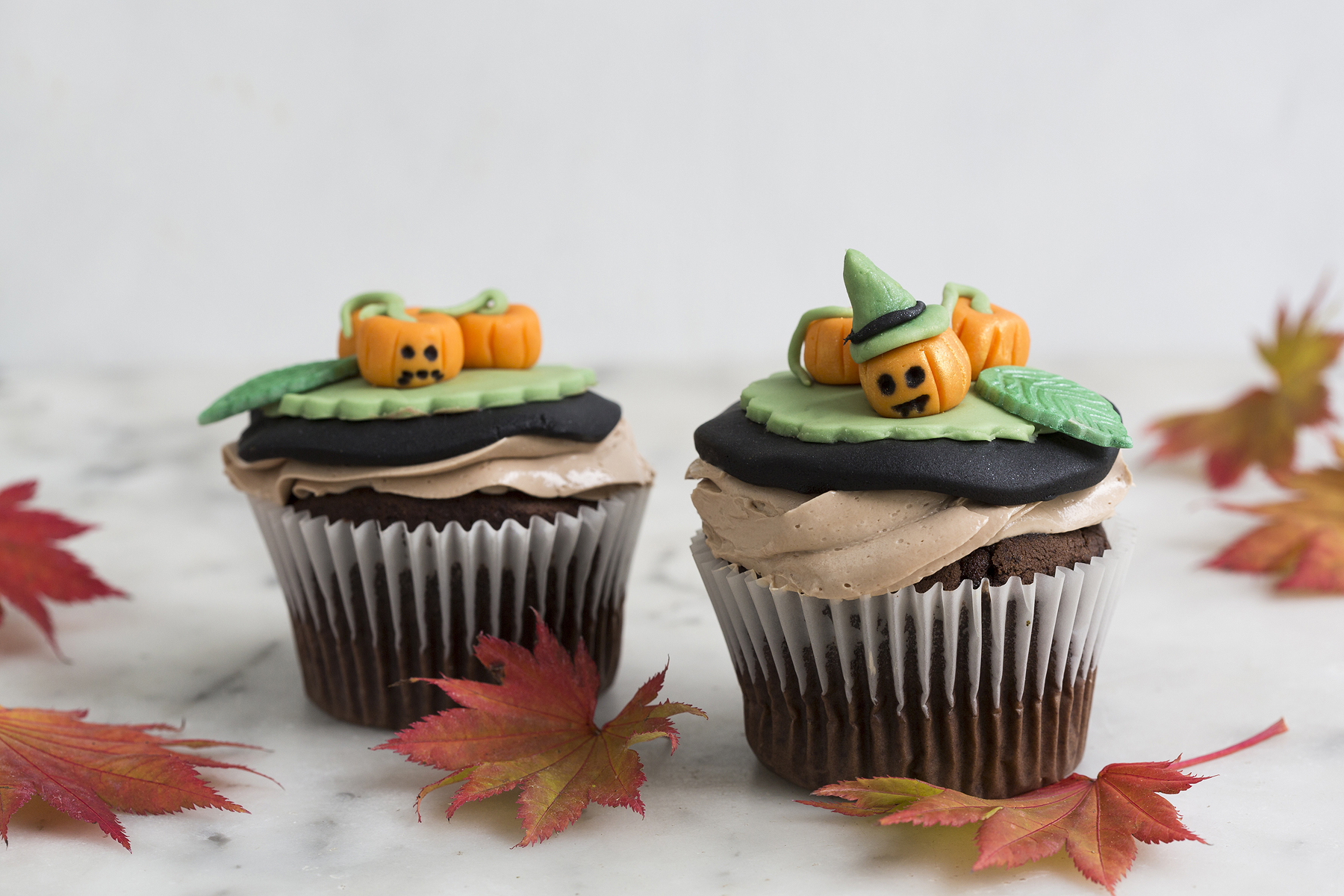 Seals Bakes Cakes_006.jpg