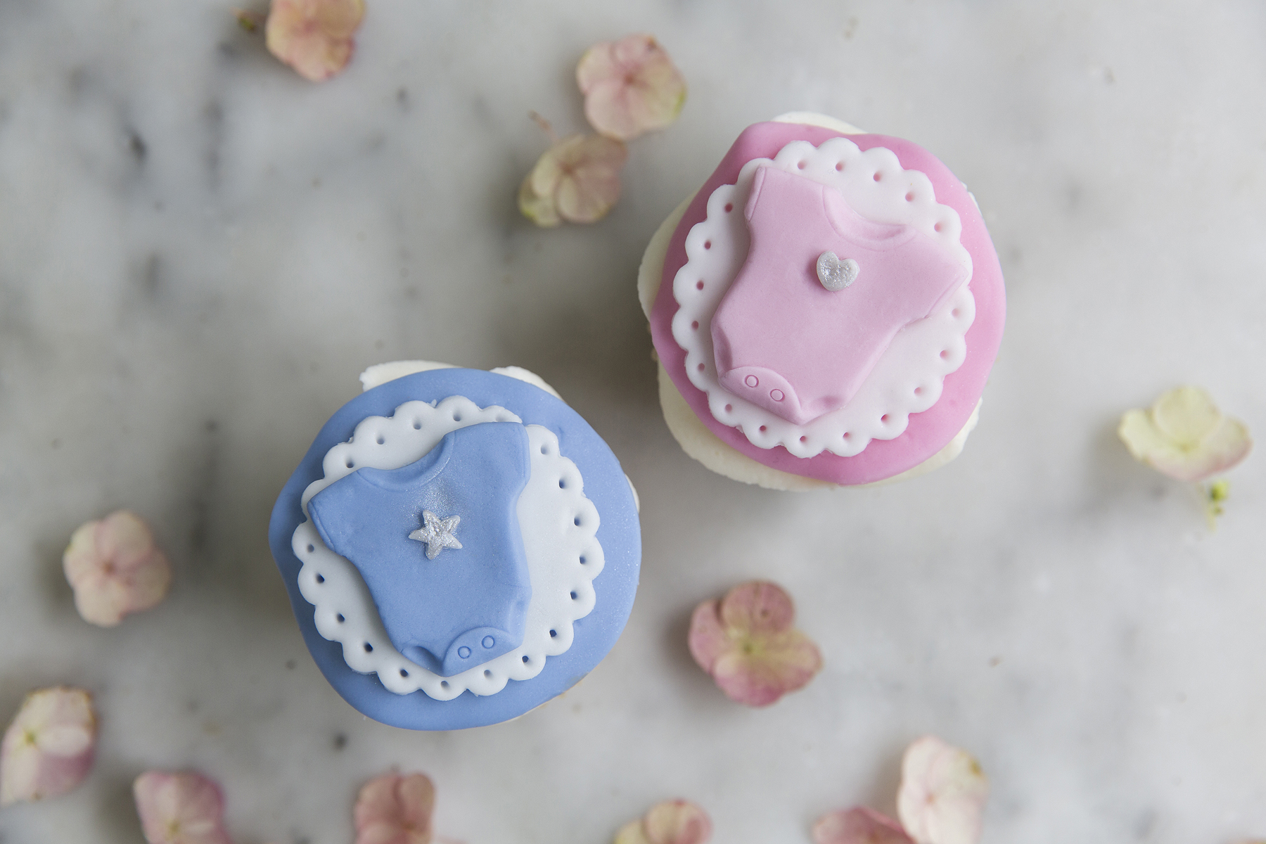 Seals Bakes Cakes_012.jpg