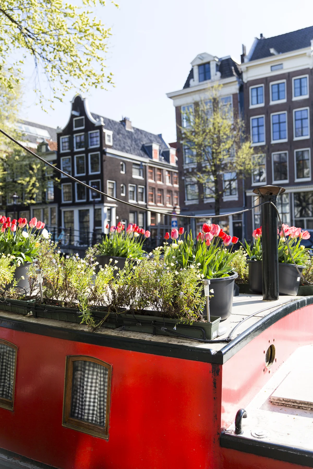Amsterdam_087.jpg