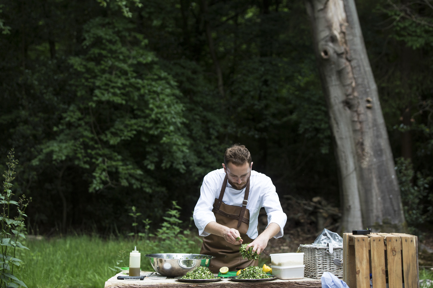 Nomadic Outdoor Woodland Dining Event