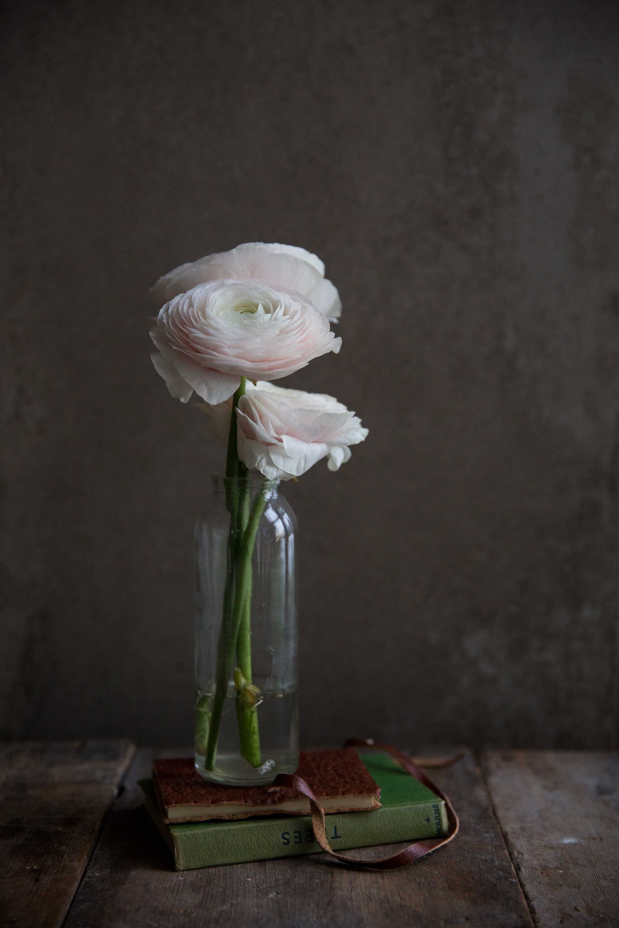 Floral Fine Art Print