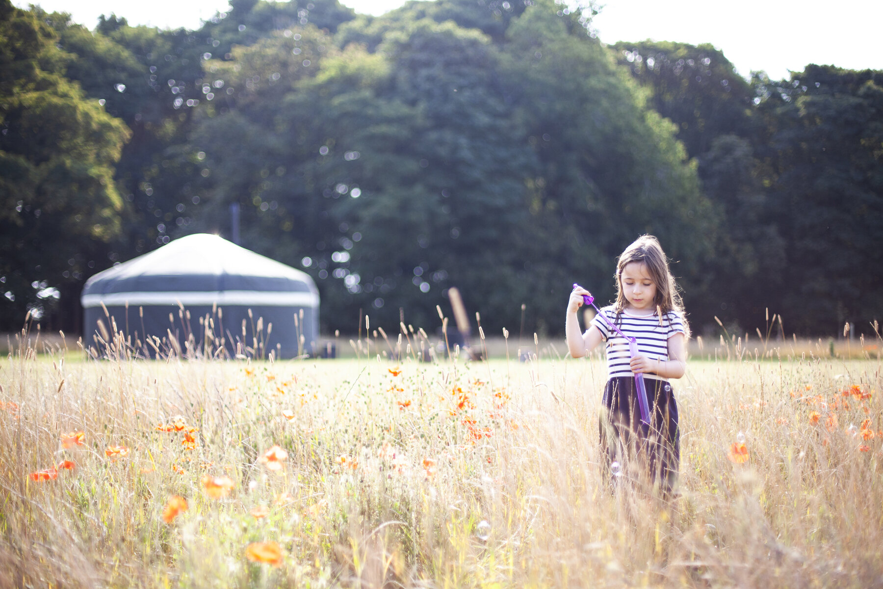 Wild Meadow Glamping _091.jpg