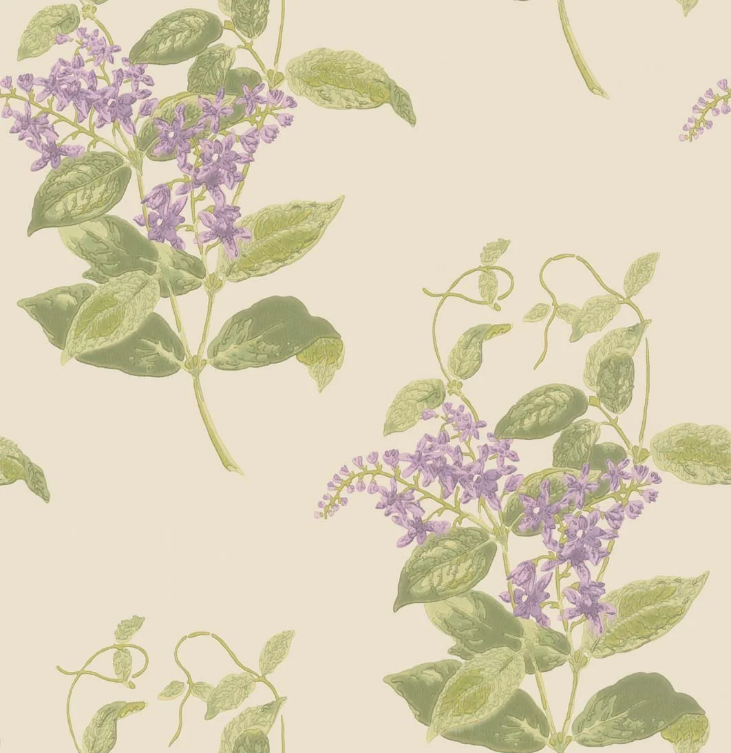 Olive and Lavendar