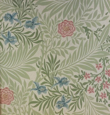 Green-Coral