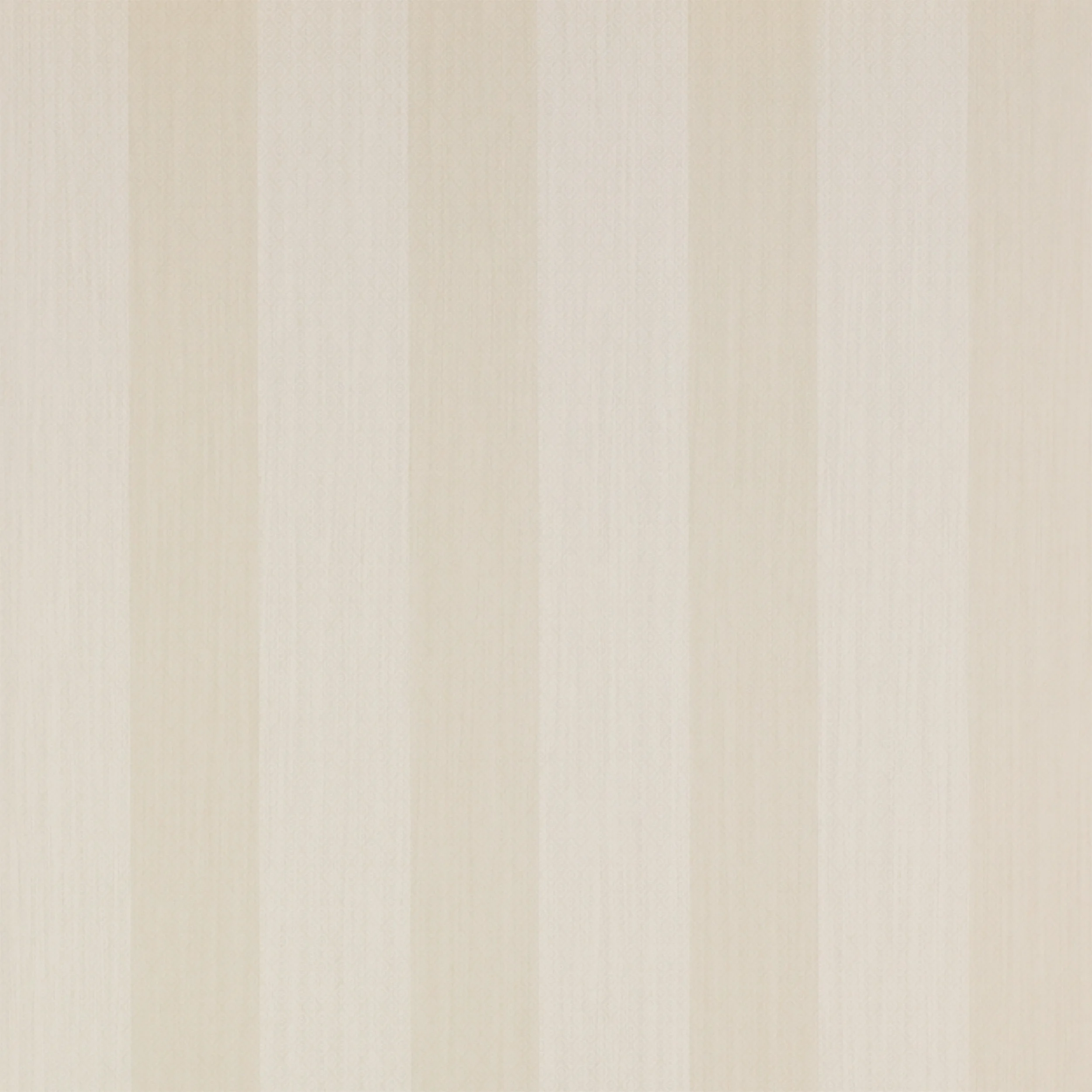 Bone